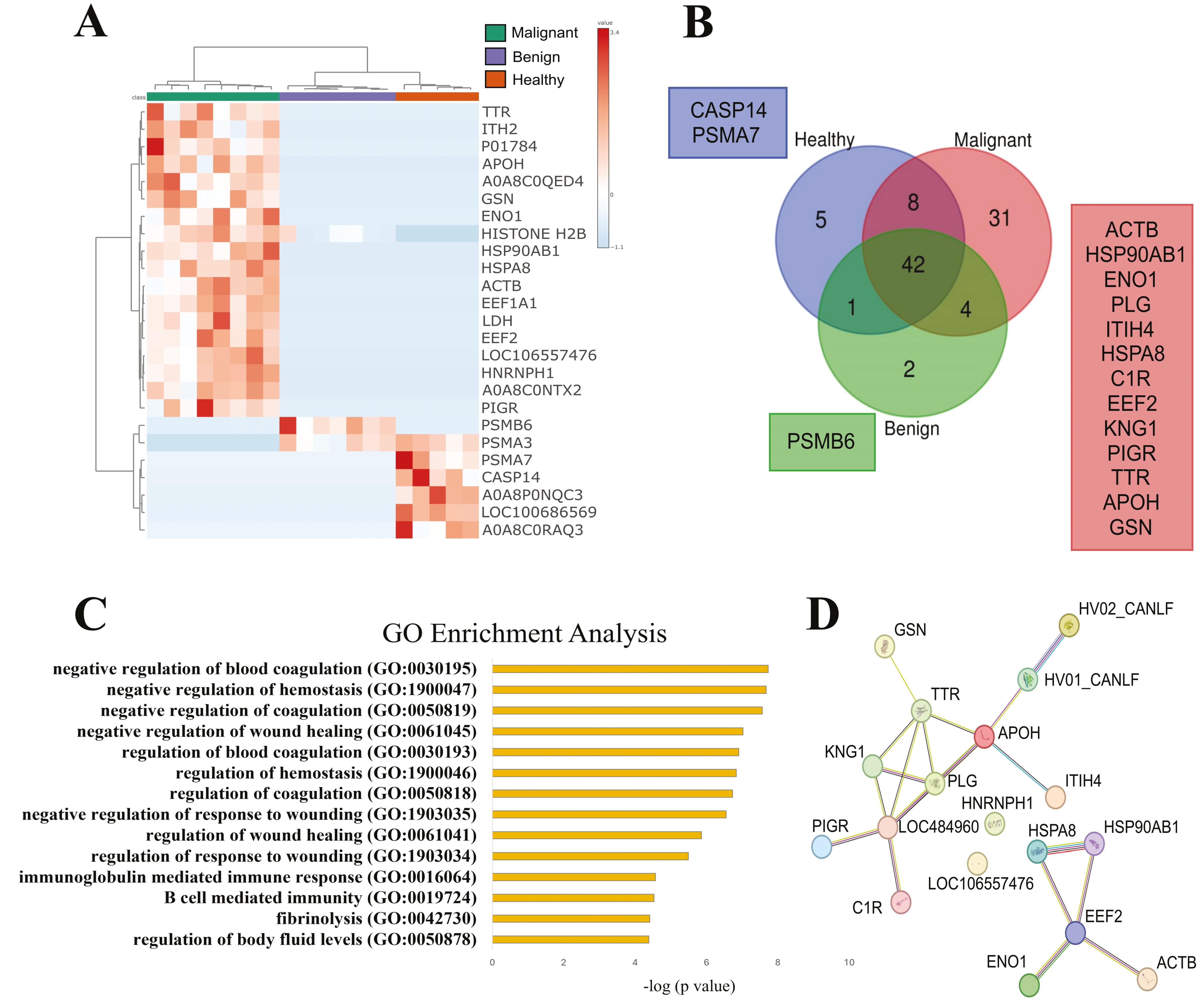 Cancers 16 02562 g003