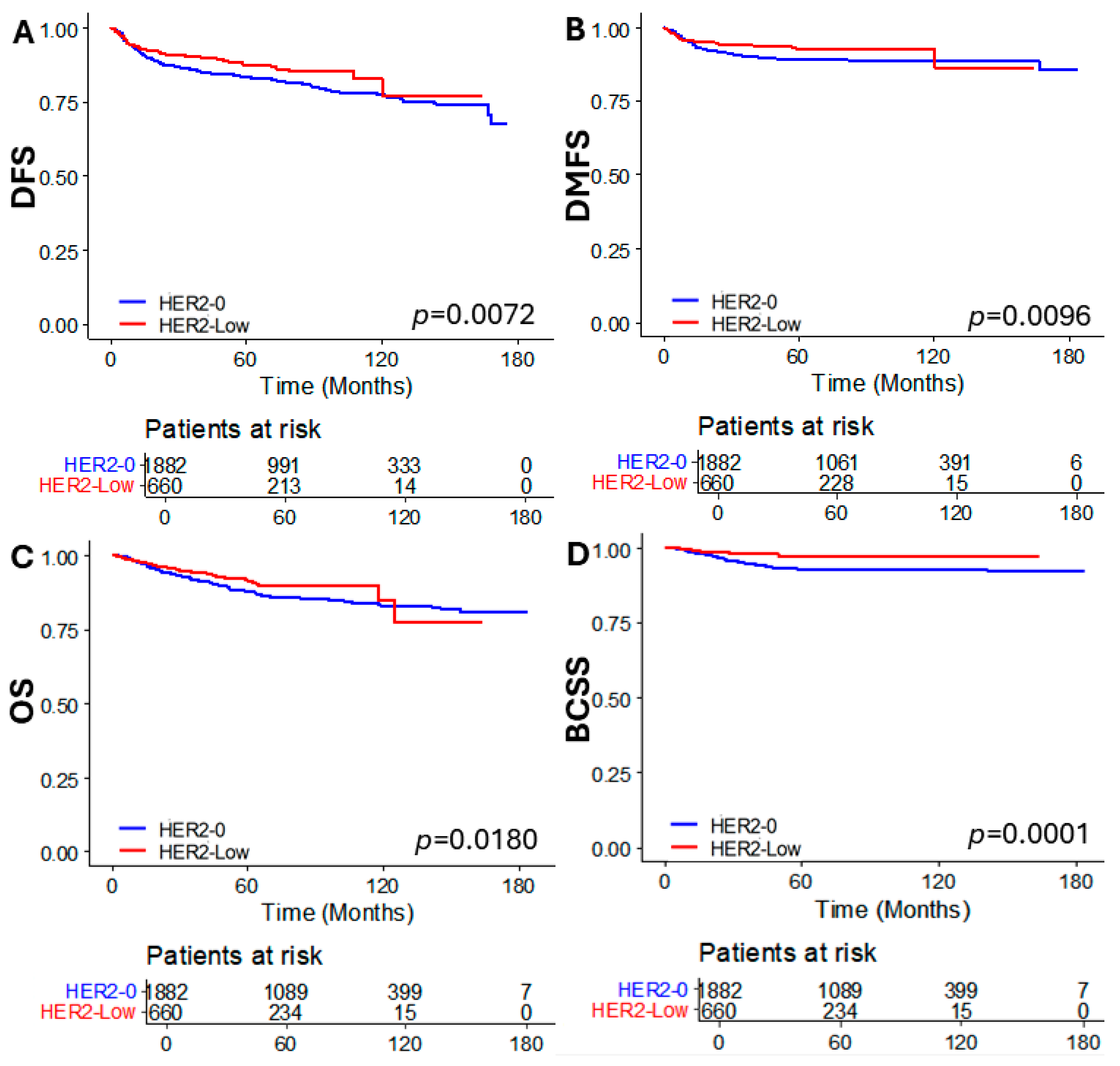 Cancers 16 02566 g002