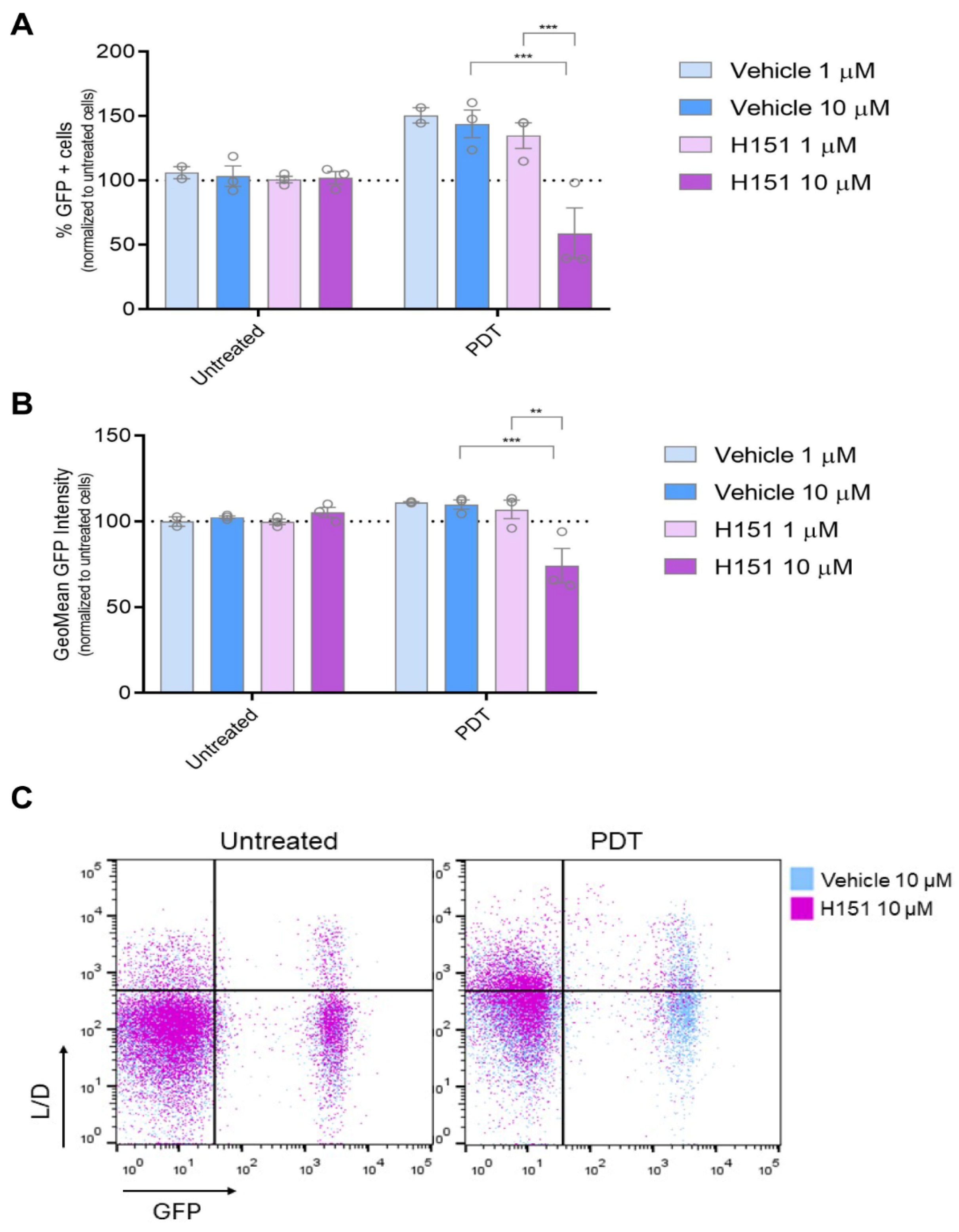 Cancers 16 02568 g004