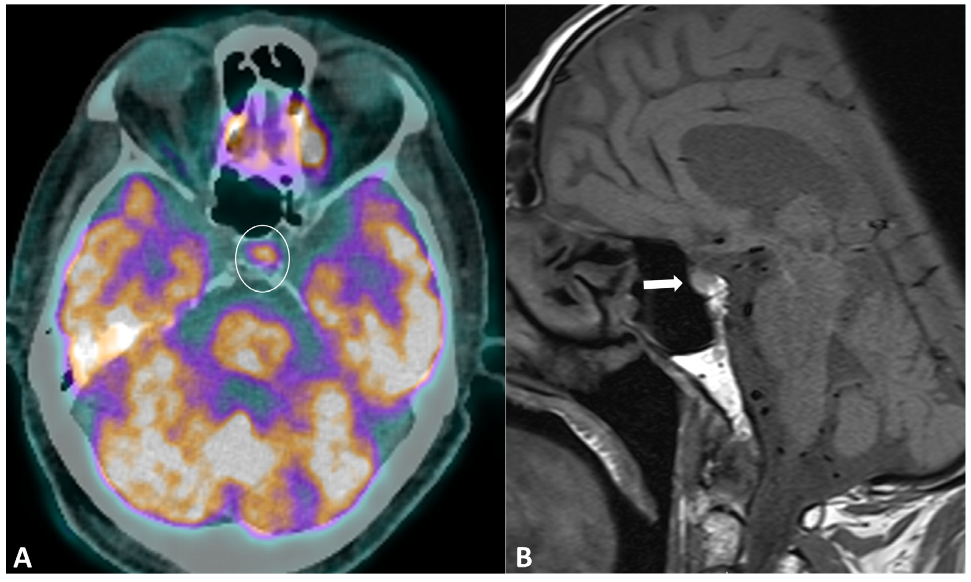 Cancers 16 02585 g009