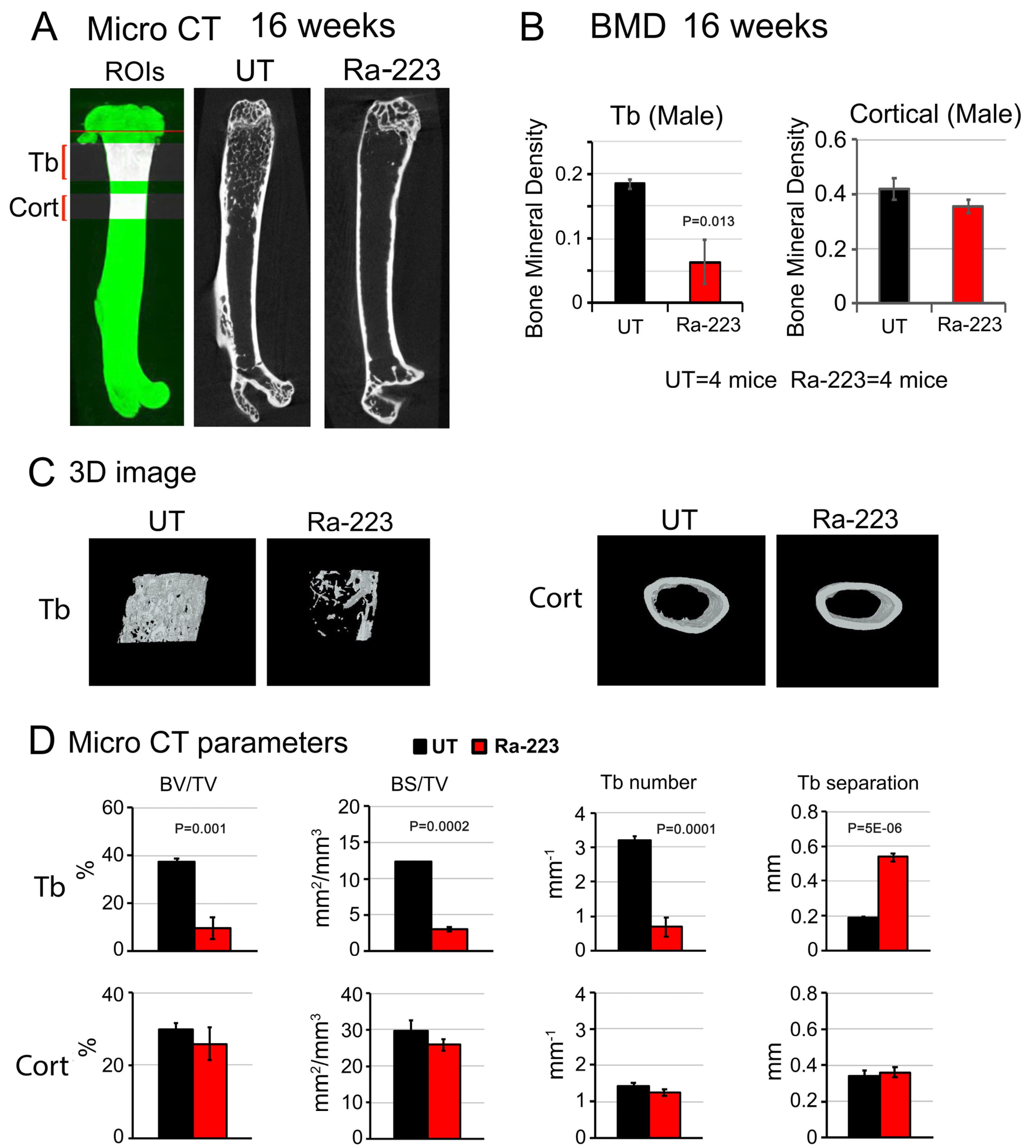 Cancers 16 02603 g004