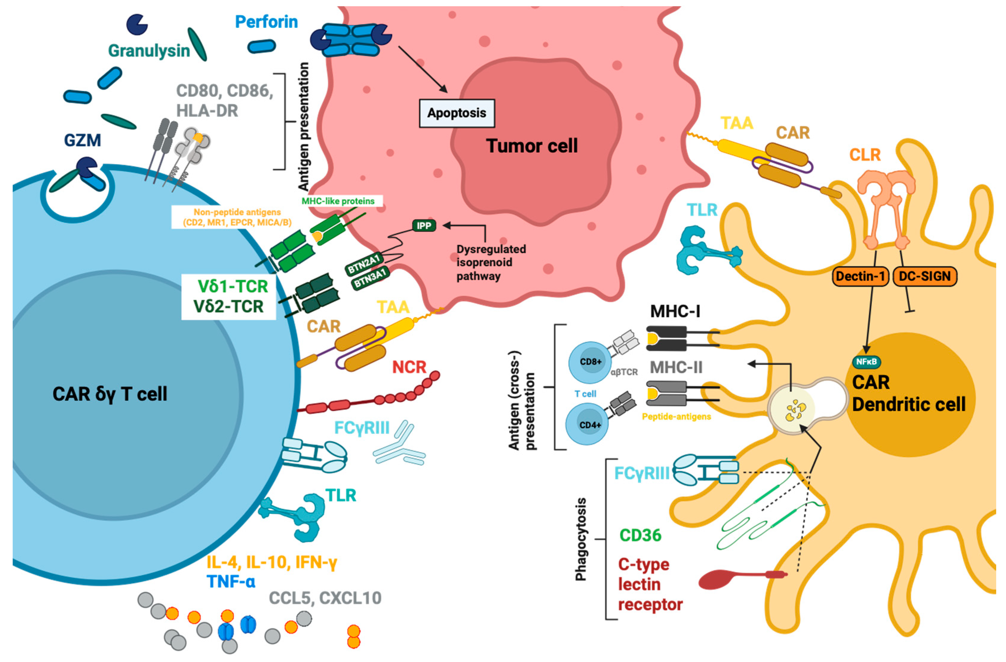 Cancers 16 02608 g006