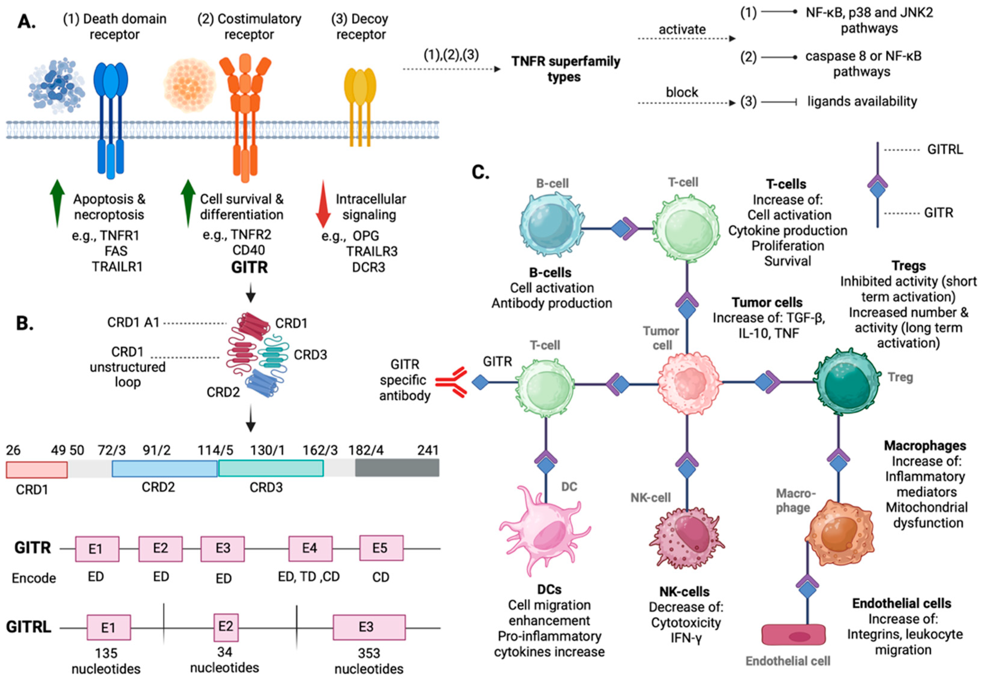 Cancers 16 02609 g001