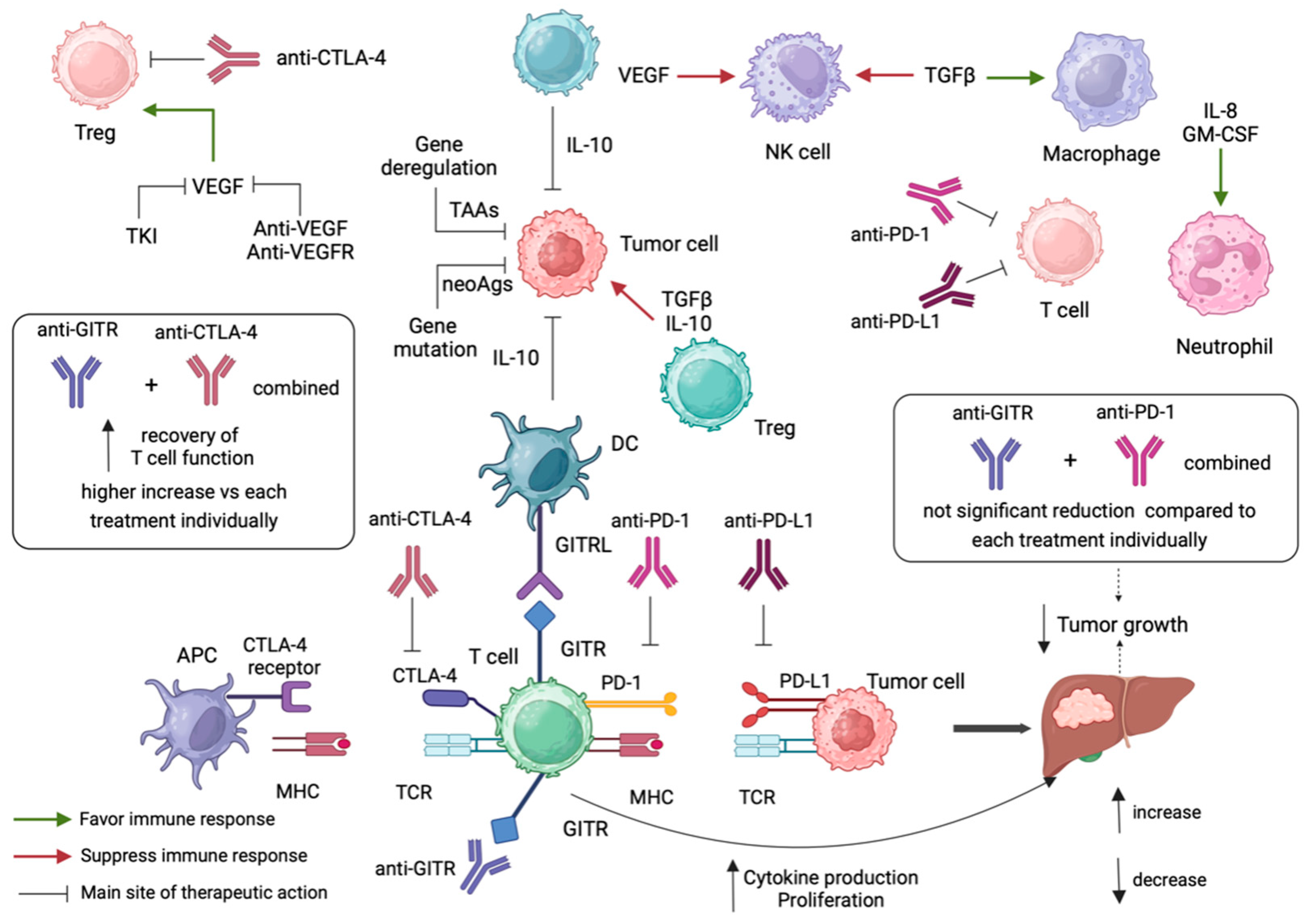 Cancers 16 02609 g002