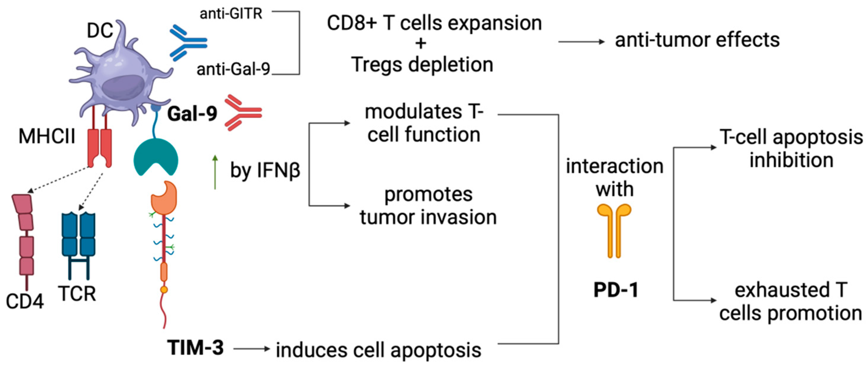 Cancers 16 02609 g003
