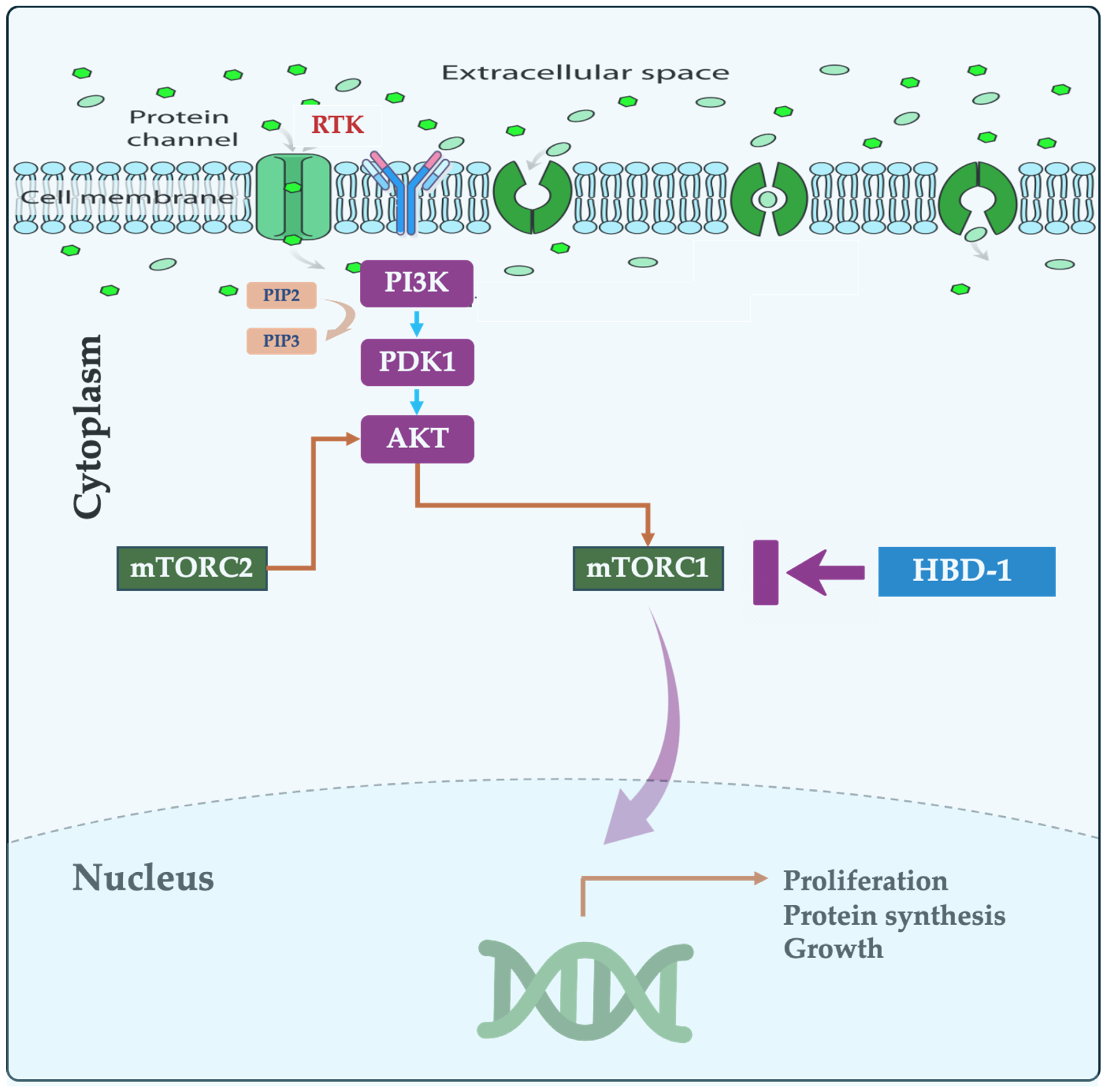Cancers 16 02622 g001