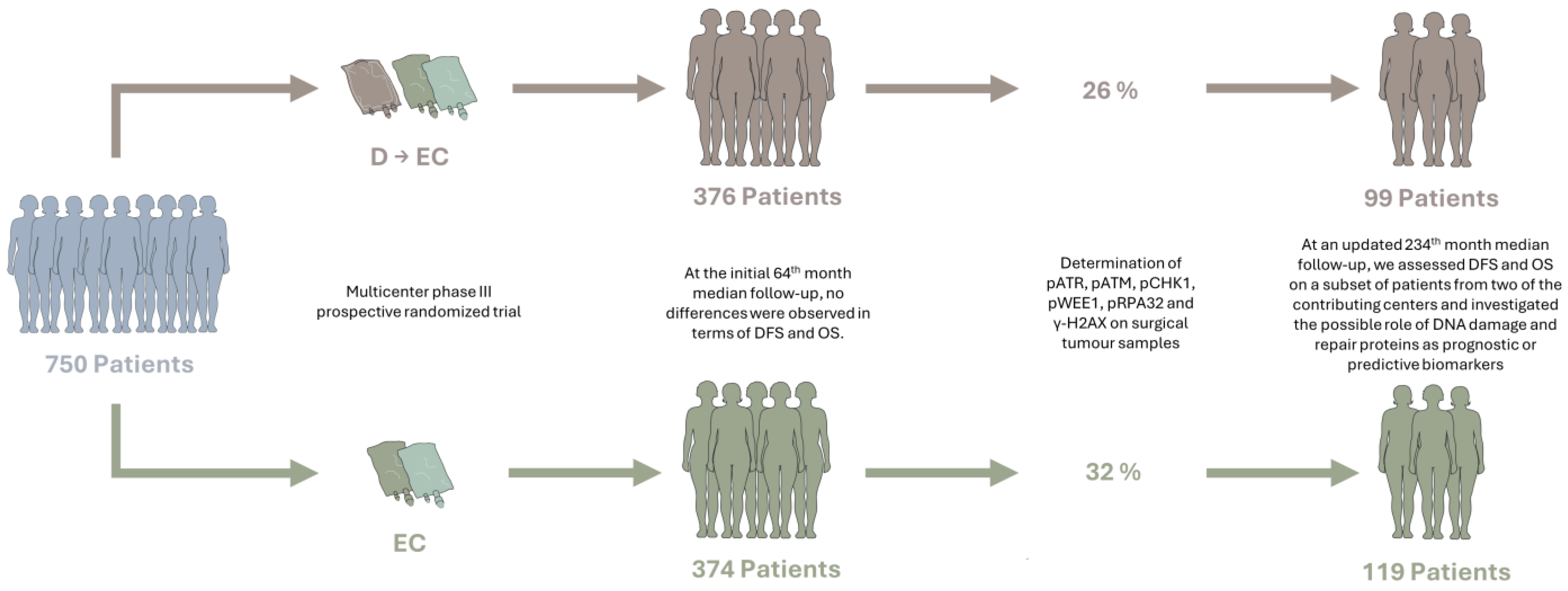 Cancers 16 02628 g001