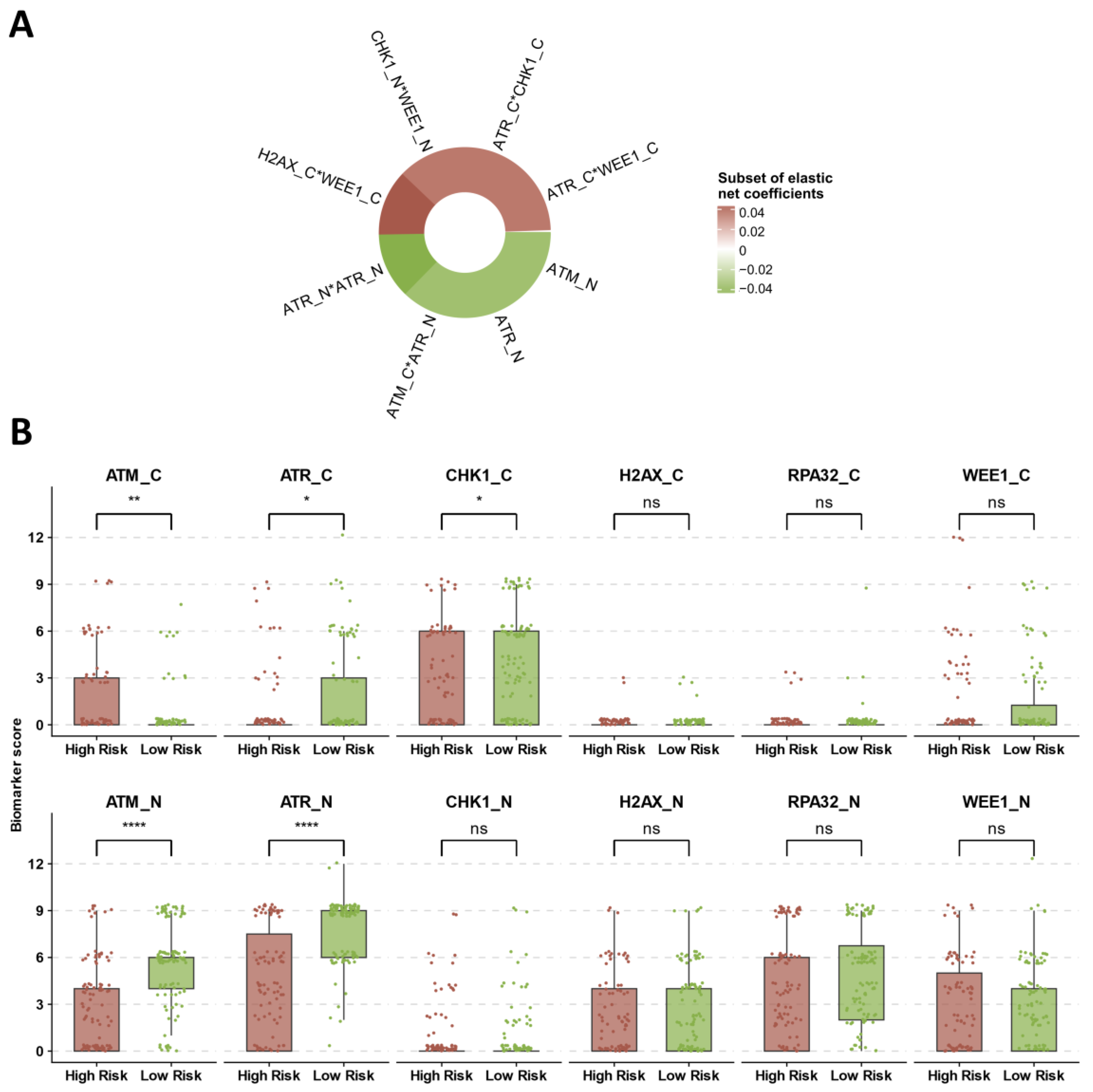 Cancers 16 02628 g005