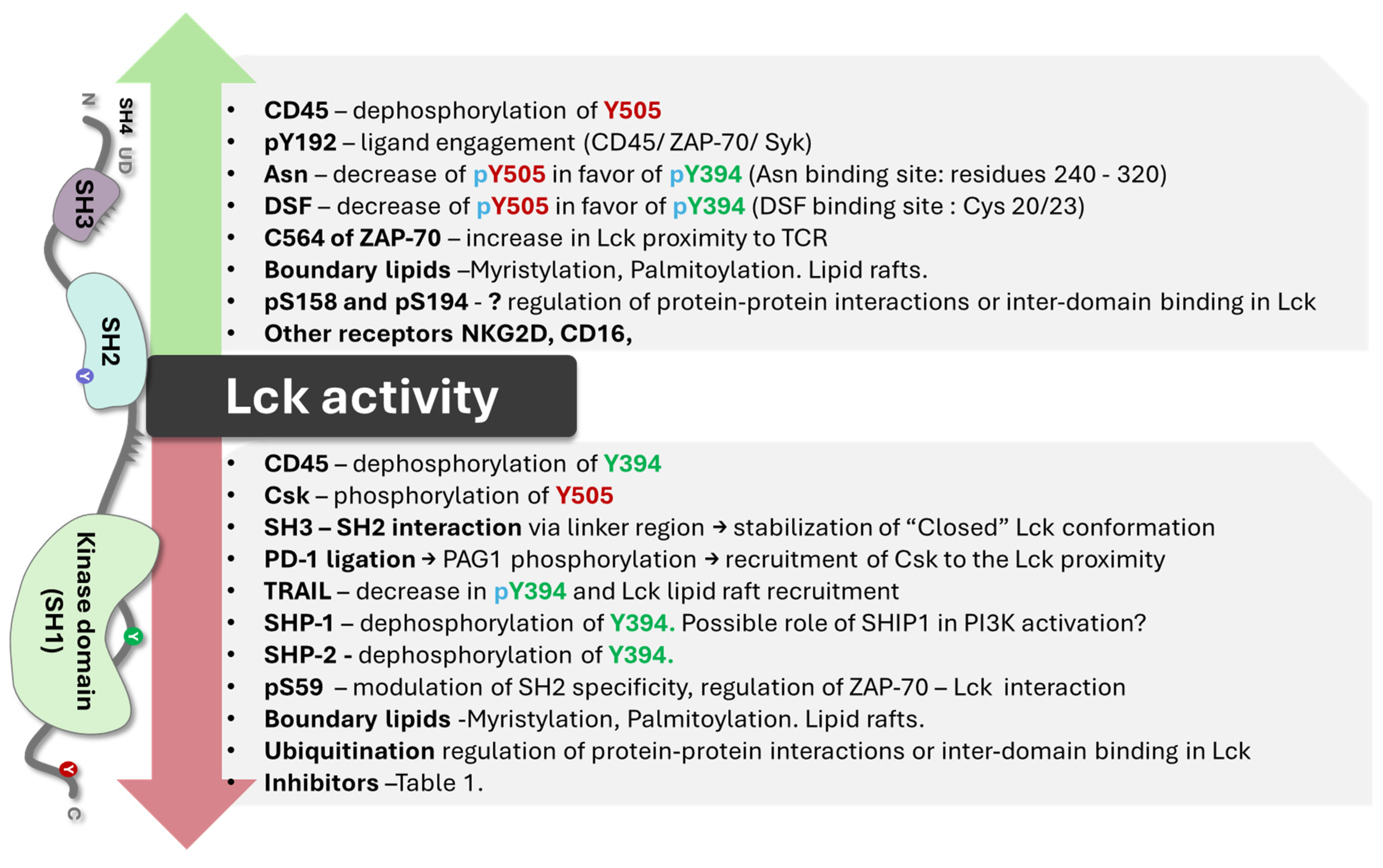 Cancers 16 02630 g009
