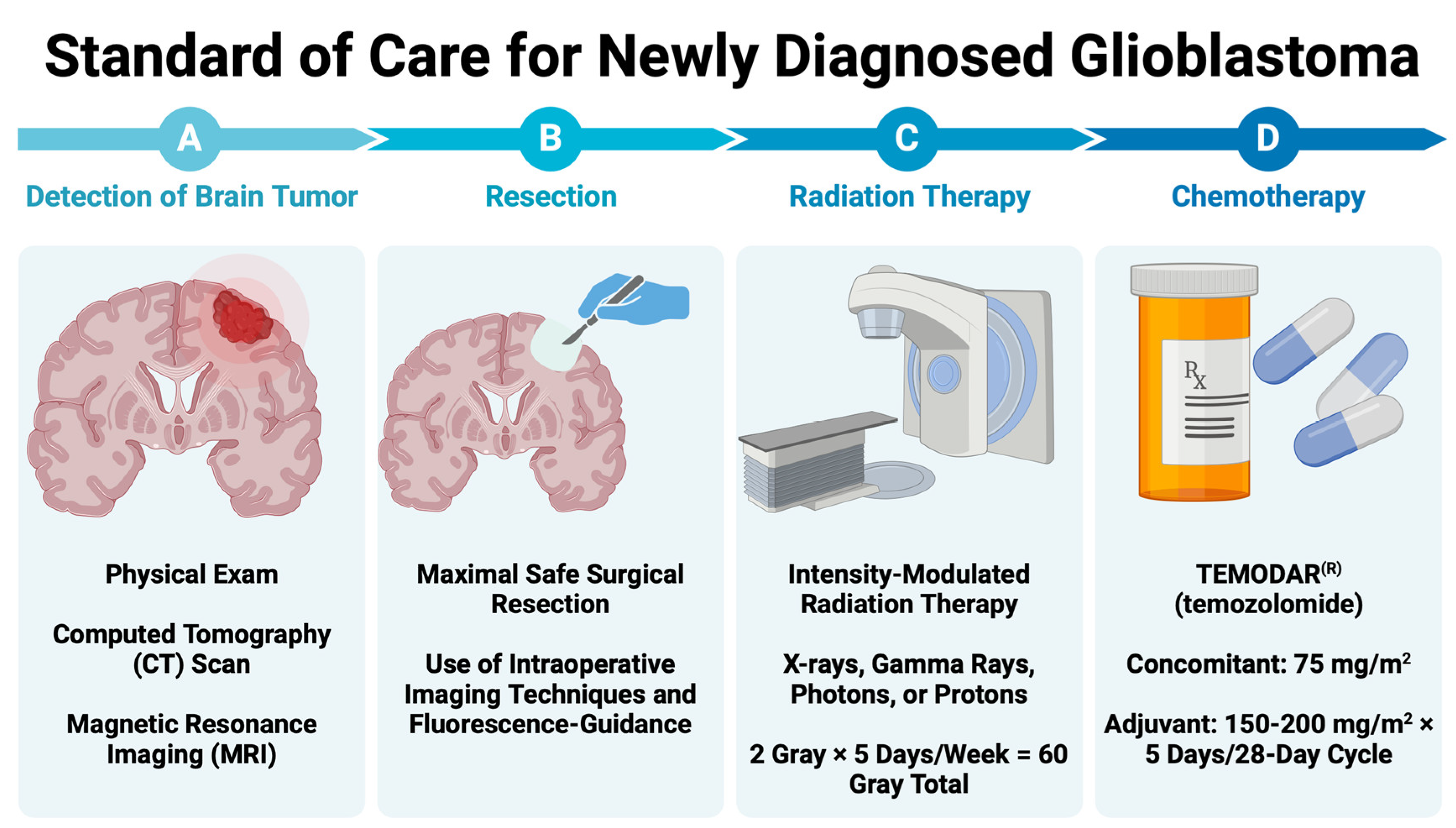 Cancers 16 02638 g001