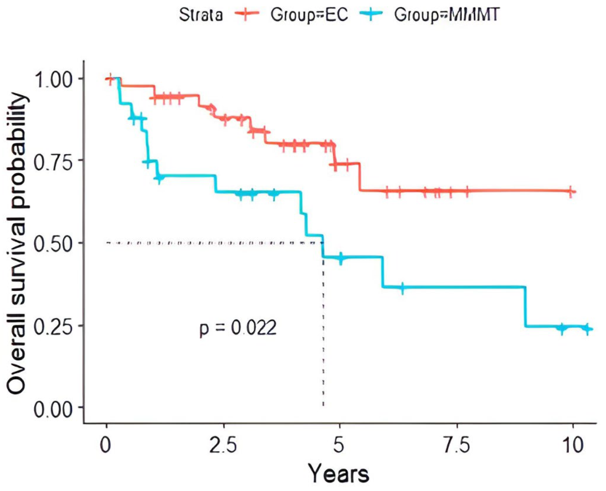 Cancers 16 02647 g002