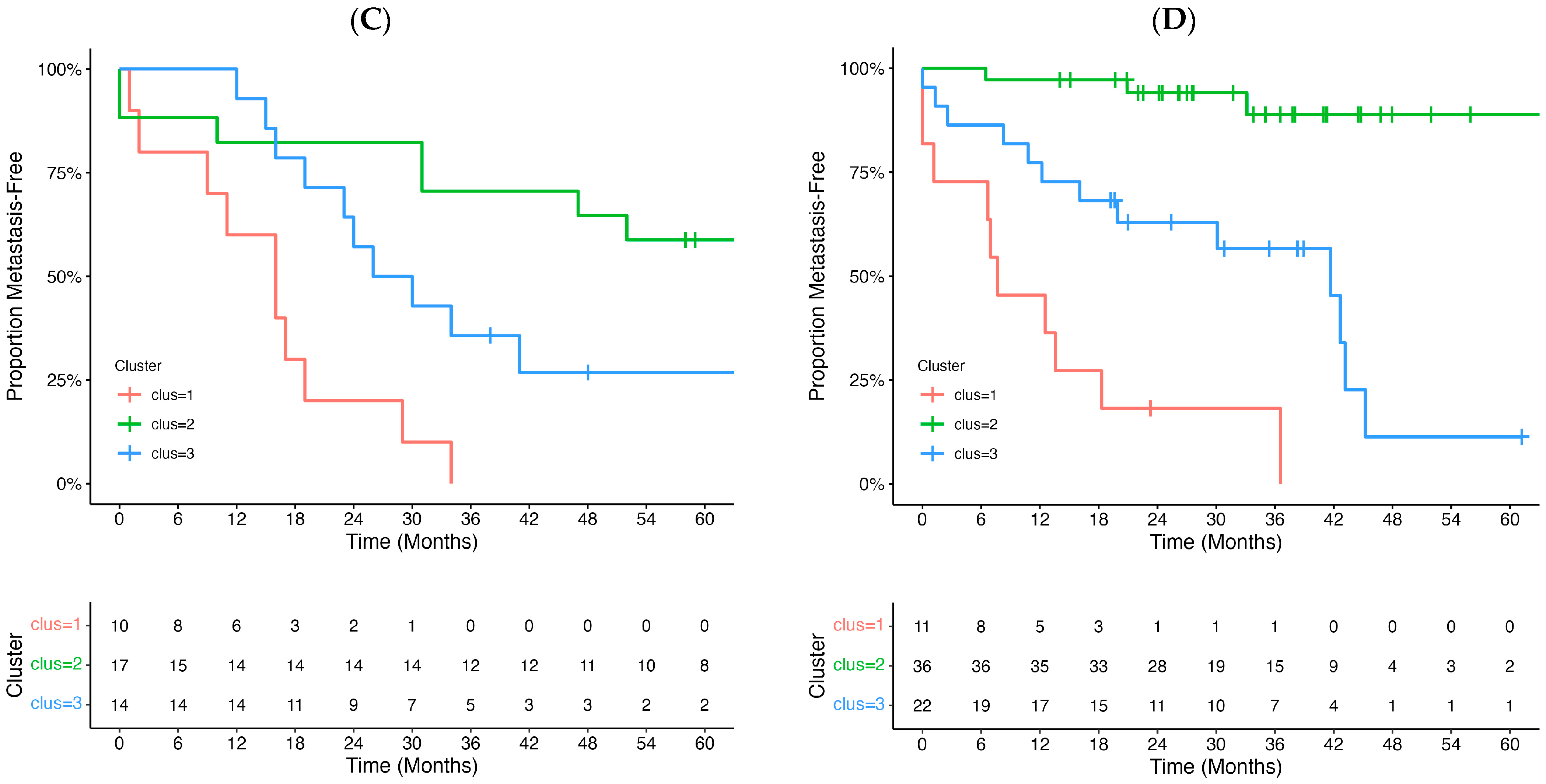 Cancers 16 02650 g002b