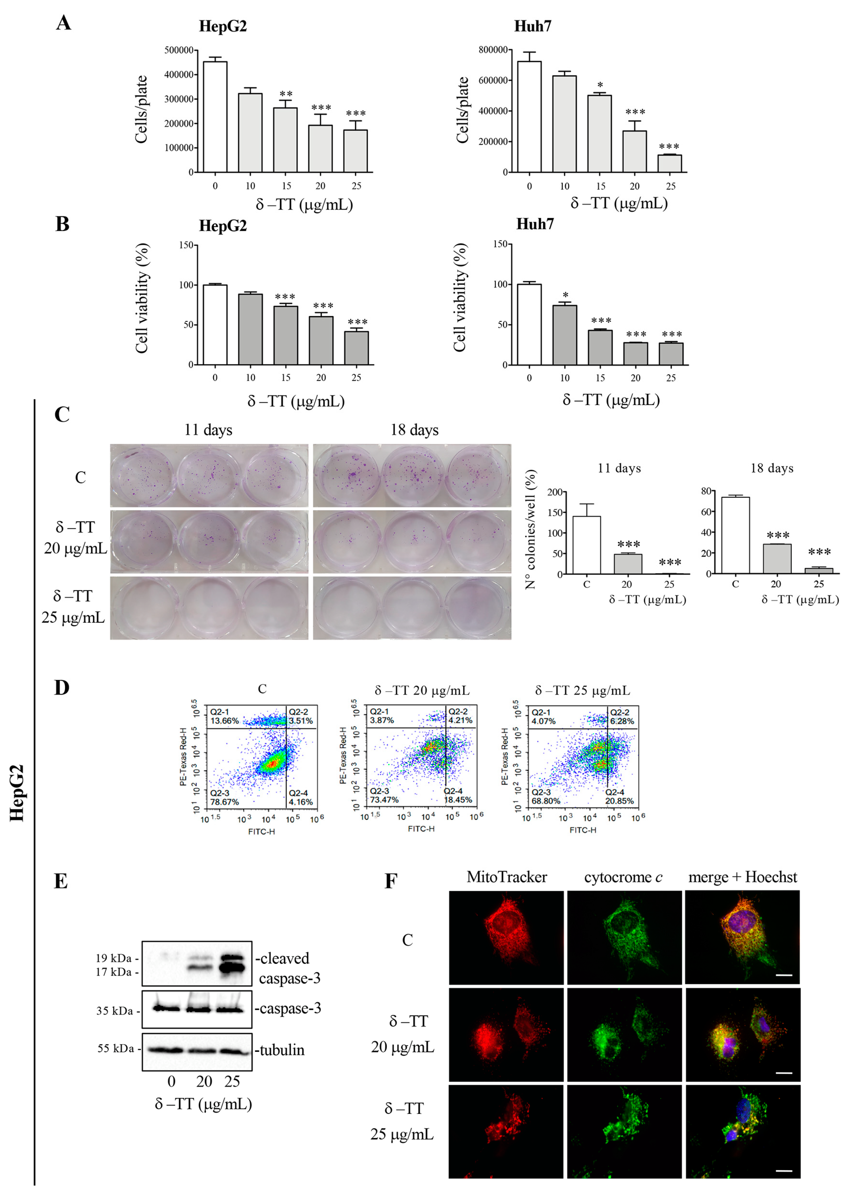 Cancers 16 02654 g001