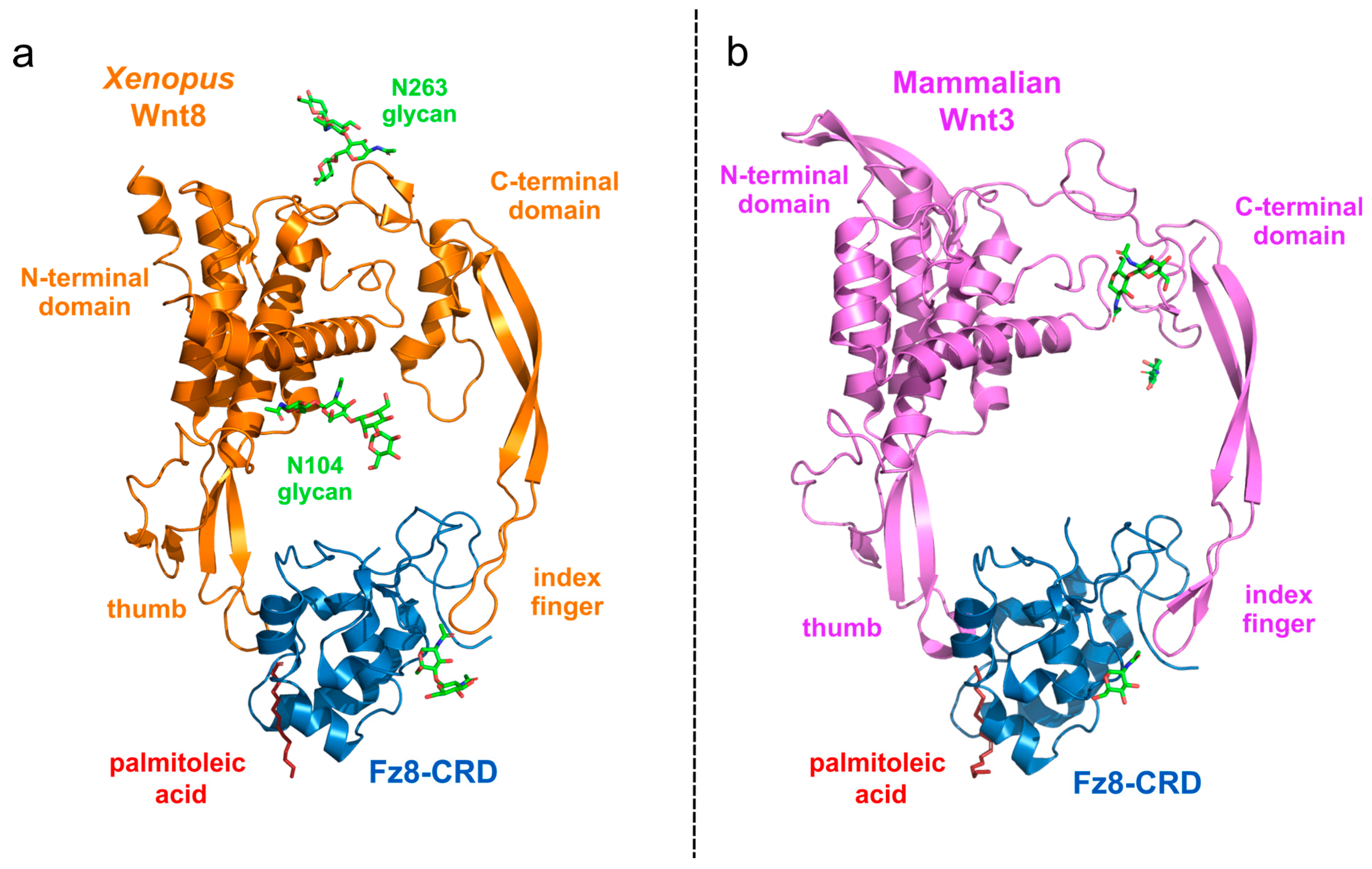 Cancers 16 02686 g003