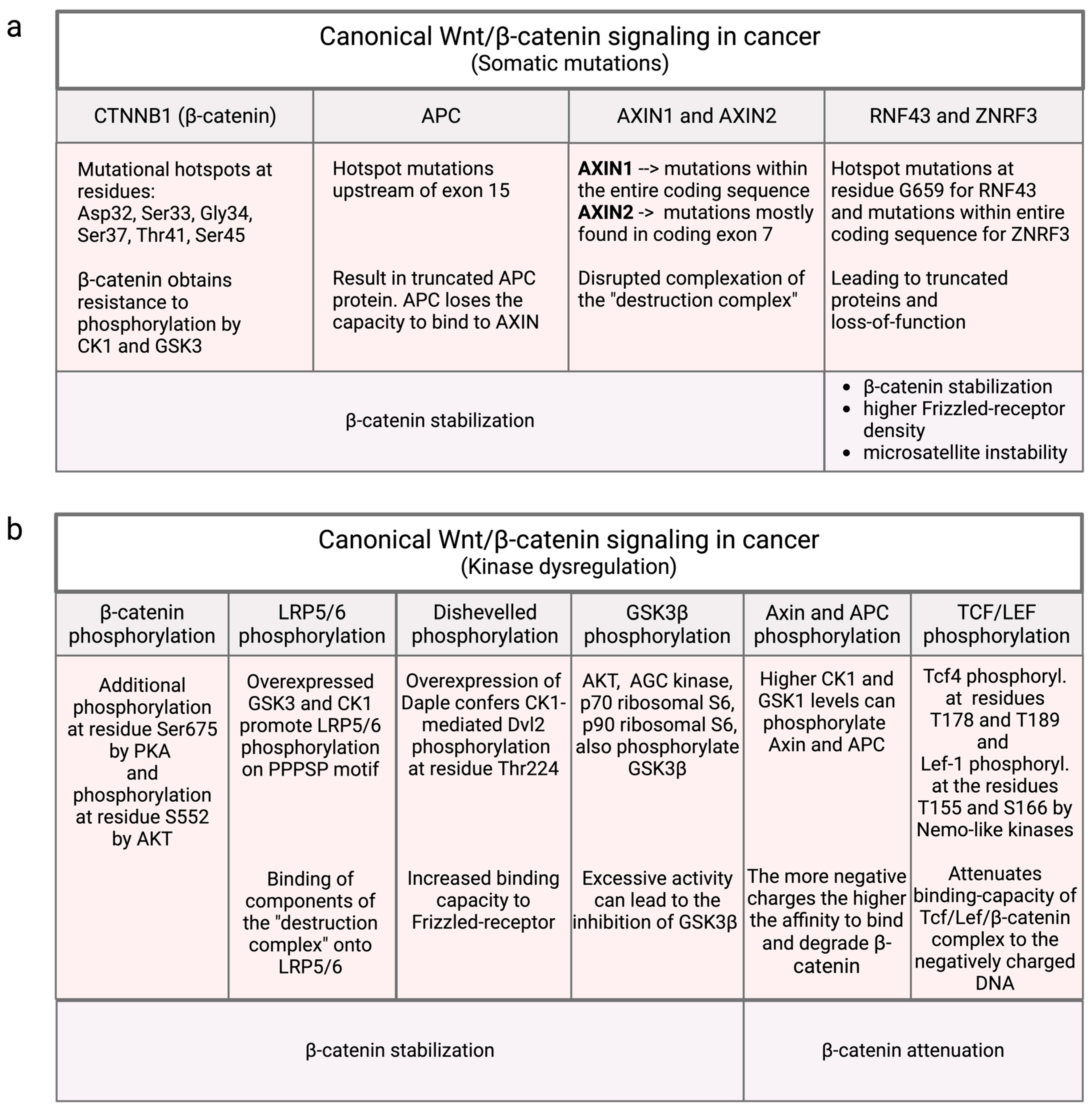 Cancers 16 02686 g004