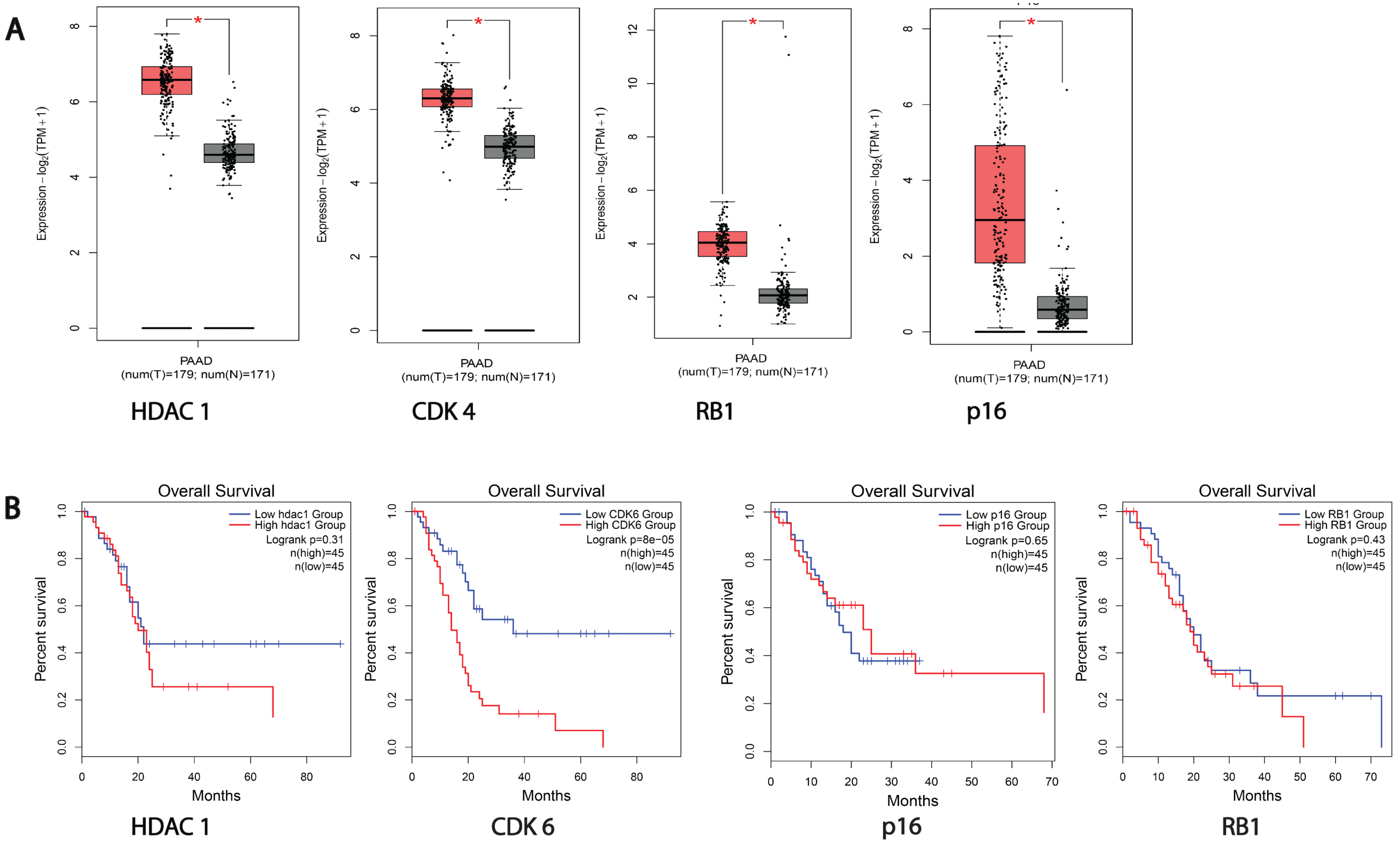 Cancers 16 02713 g001