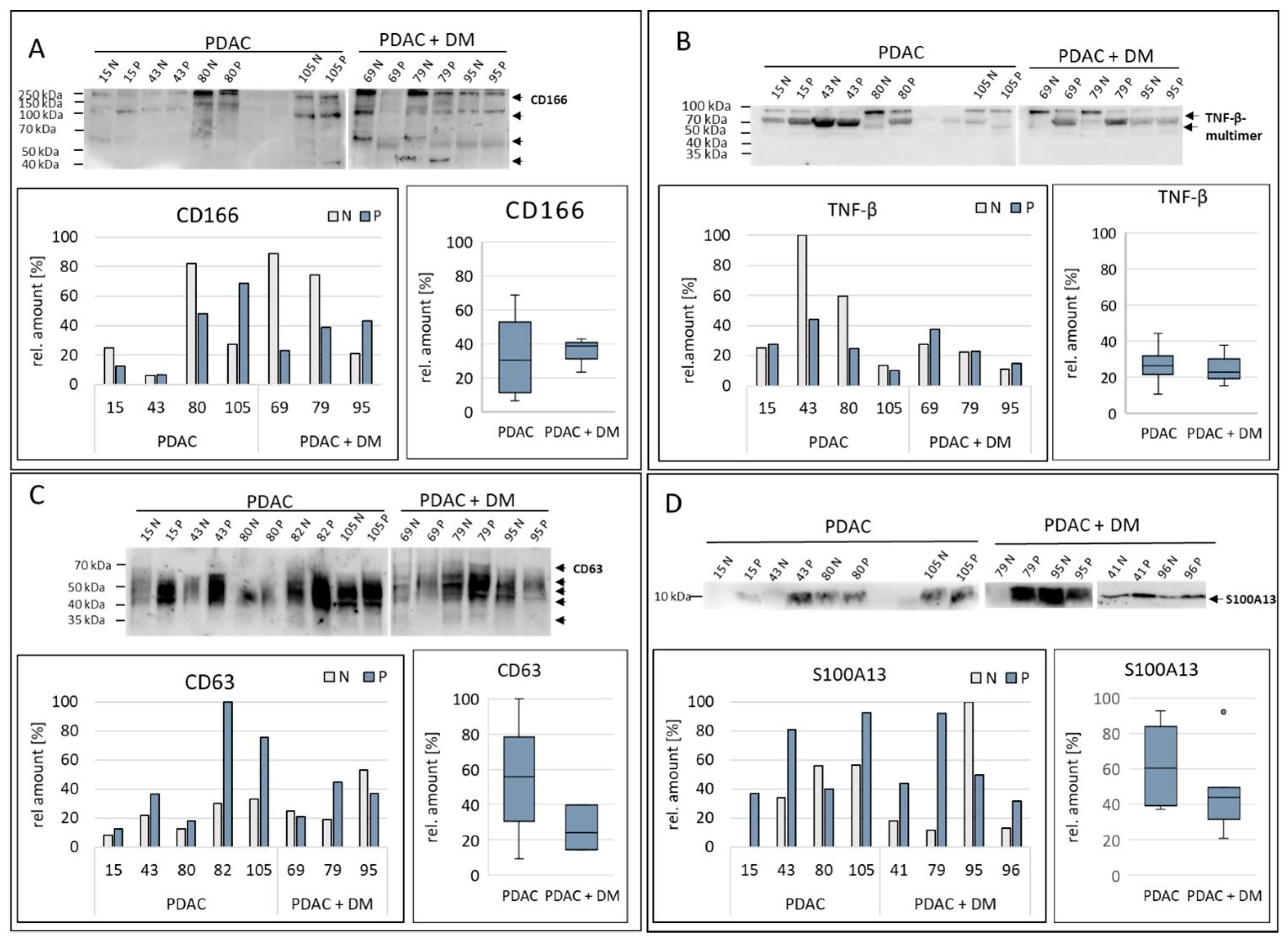 Cancers 16 02726 g004