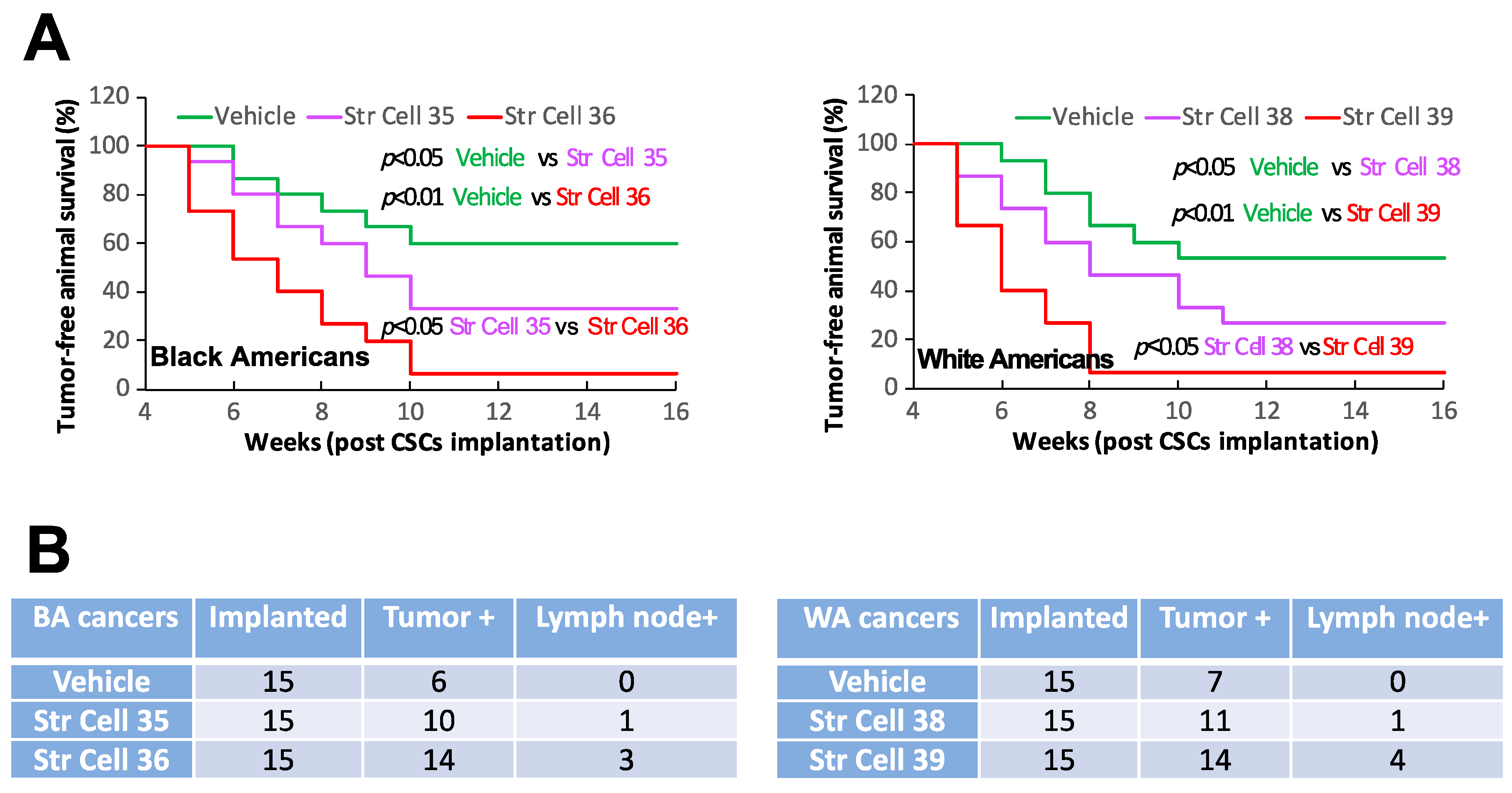 Cancers 16 02730 g004