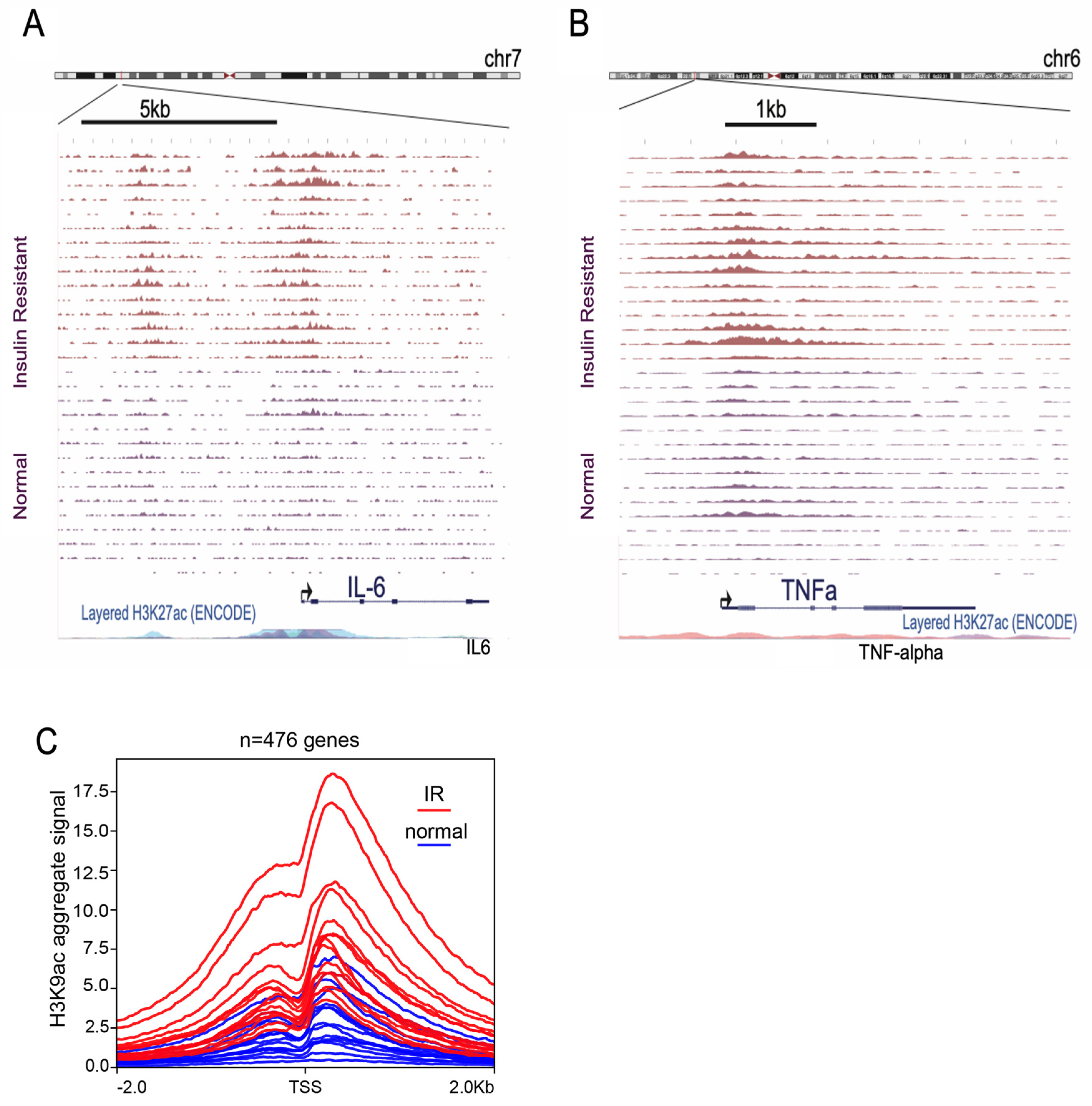 Cancers 16 02735 g001