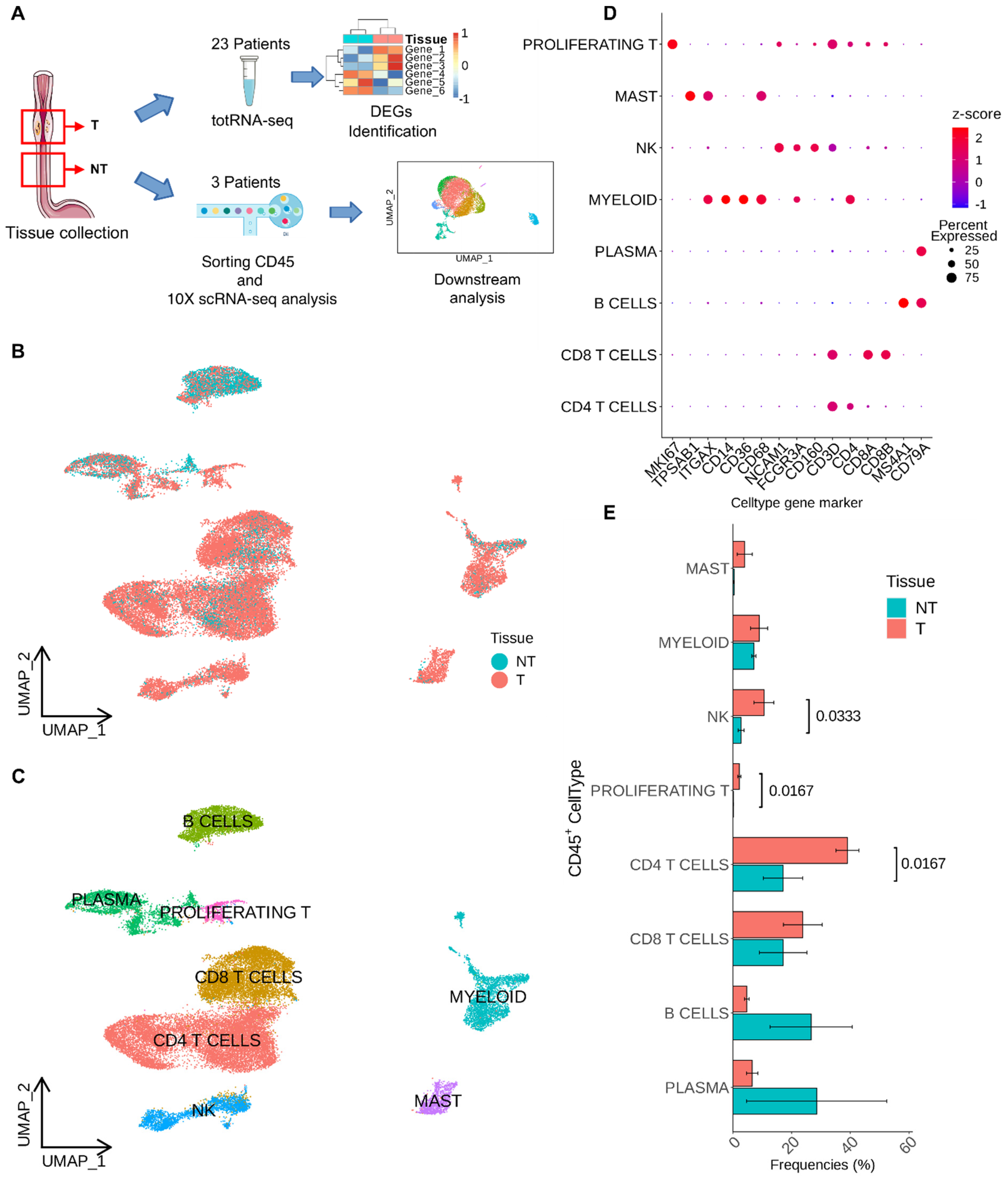 Cancers 16 02748 g001