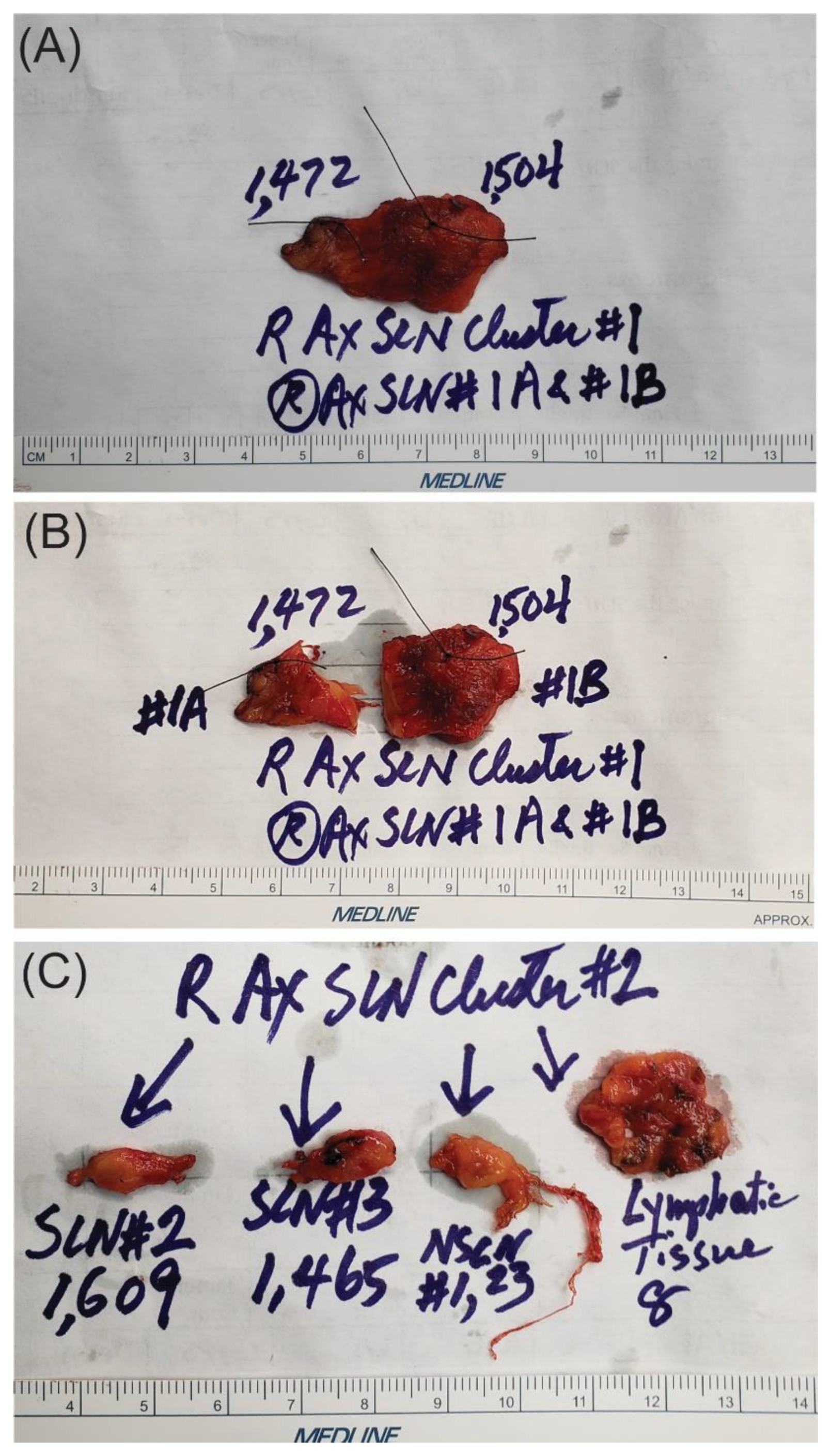Cancers 16 02767 g007 Cancers 16 02767 g007