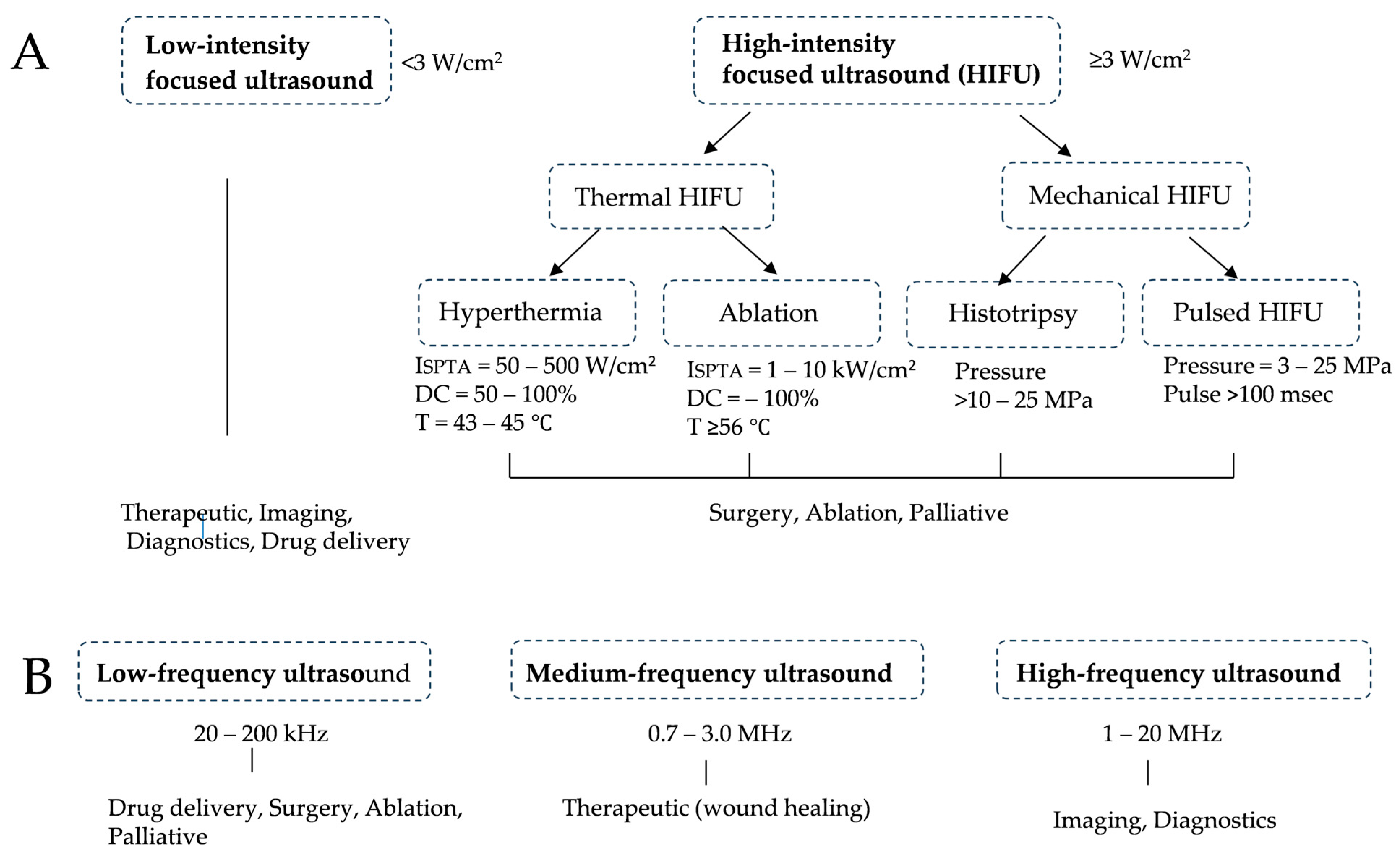 Cancers 16 02770 g001