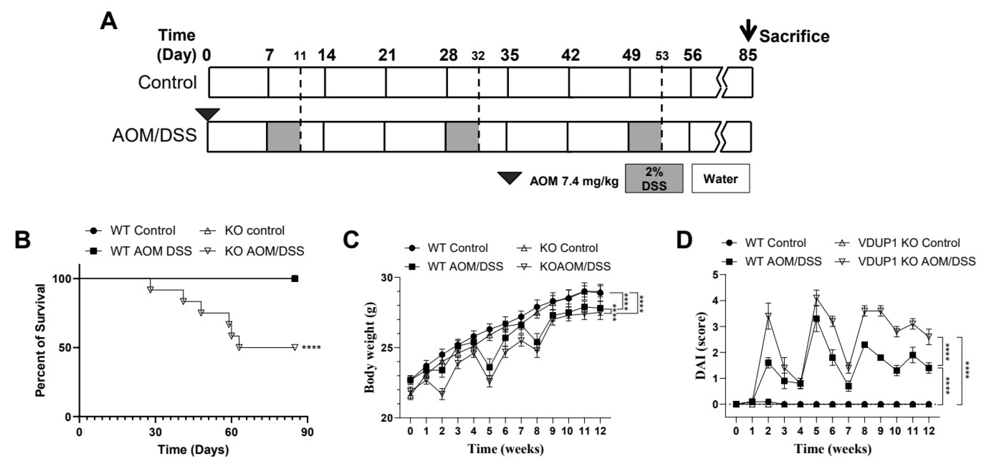 Cancers 16 02934 g002 Cancers 16 02934 g002