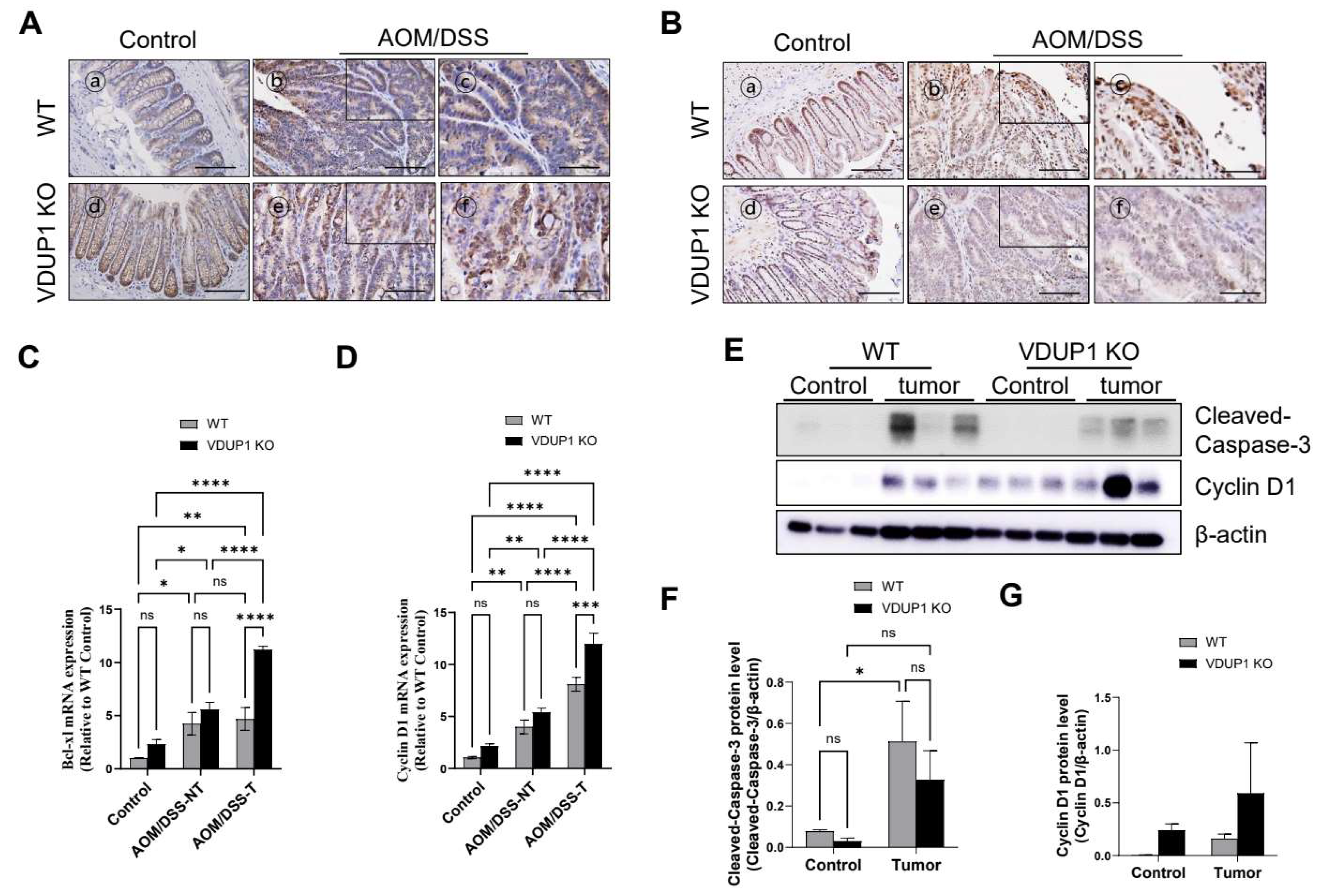 Cancers 16 02934 g005 Cancers 16 02934 g005