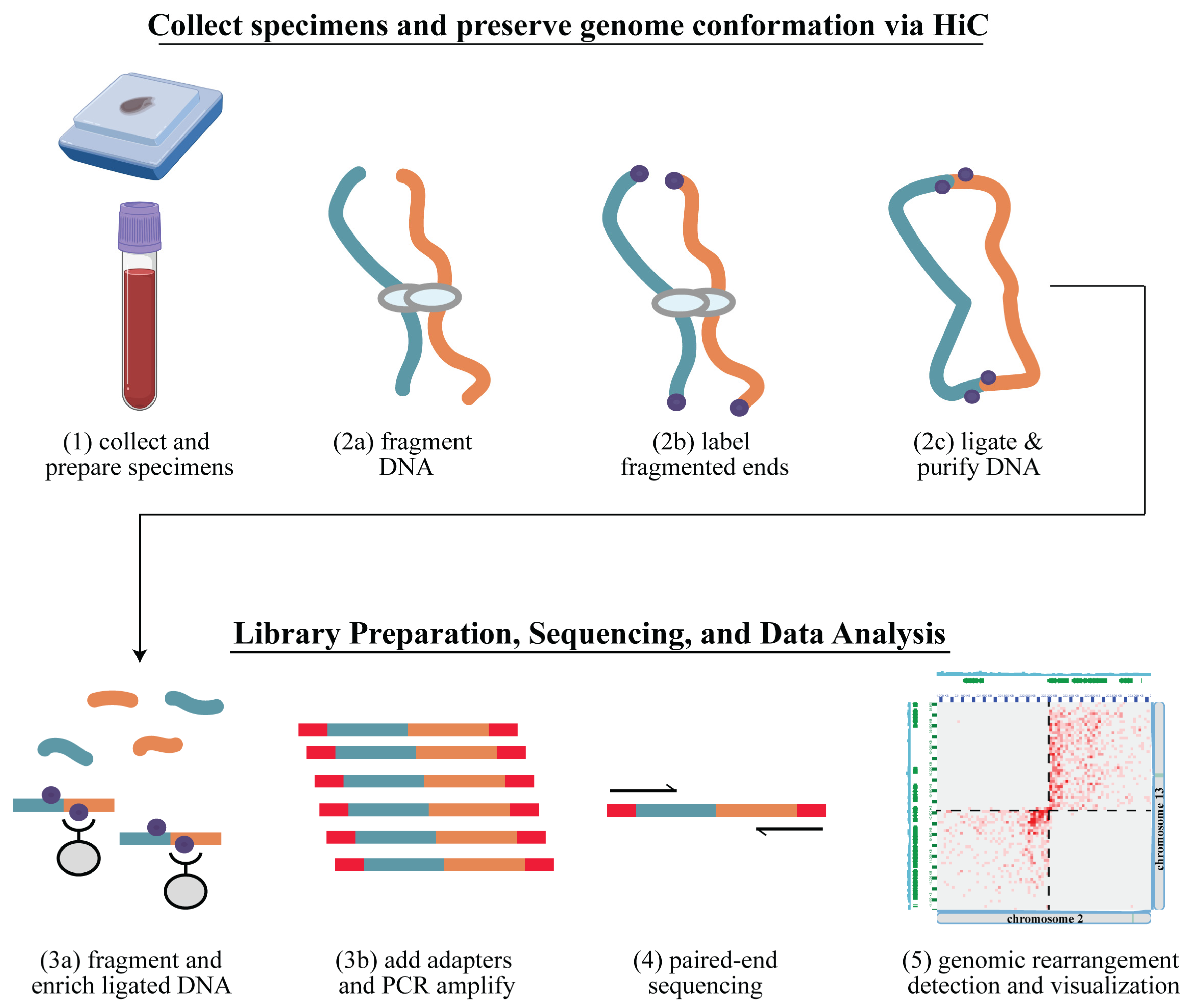 Cancers 16 02936 g001