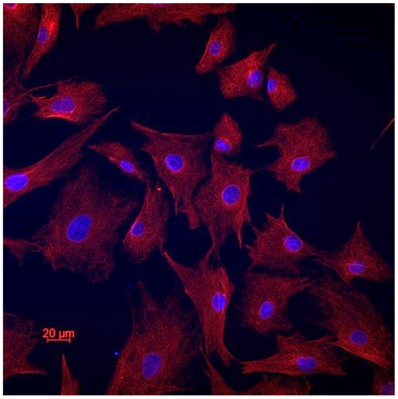 Cancers 16 02968 g002