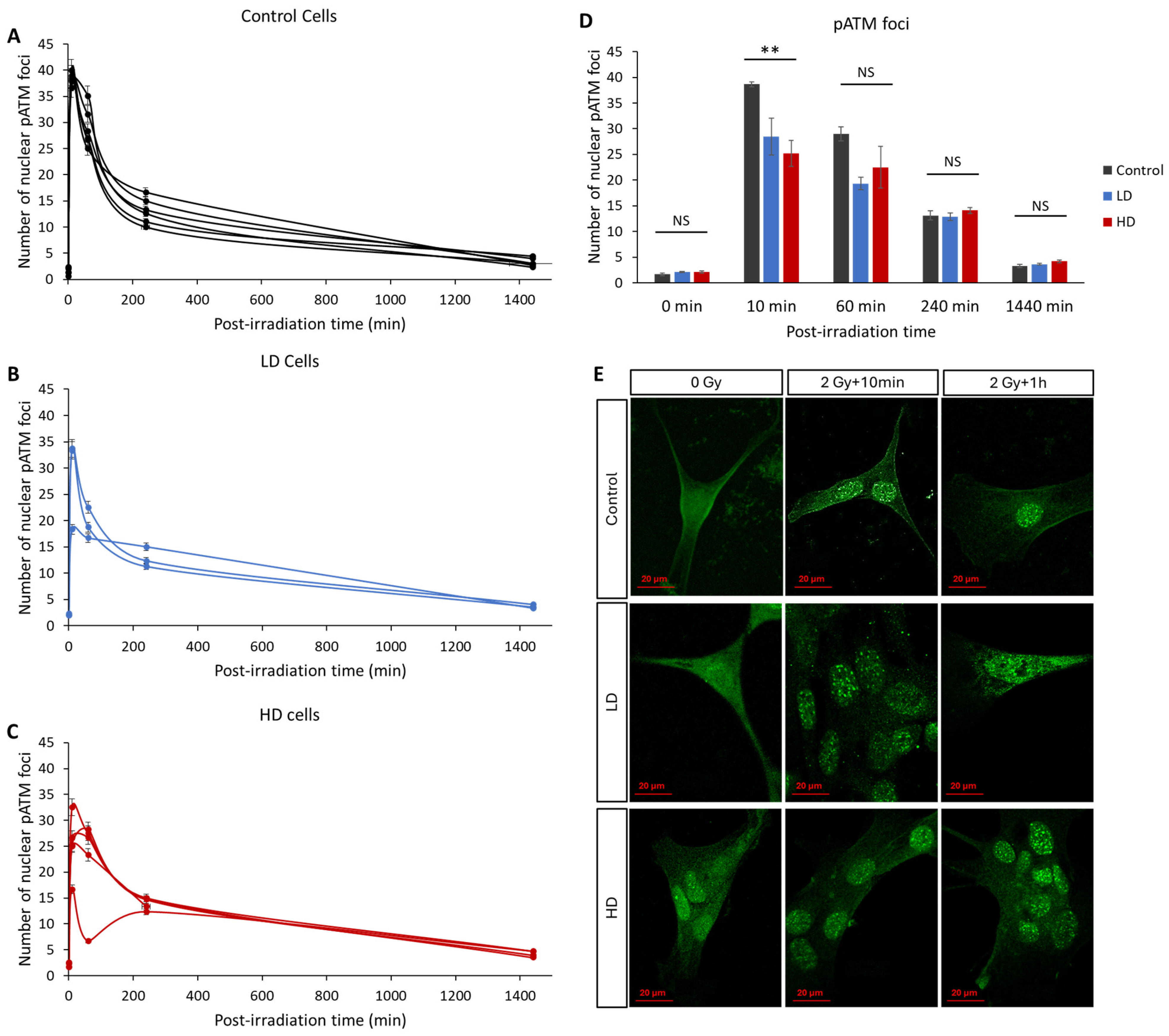 Cancers 16 02968 g005