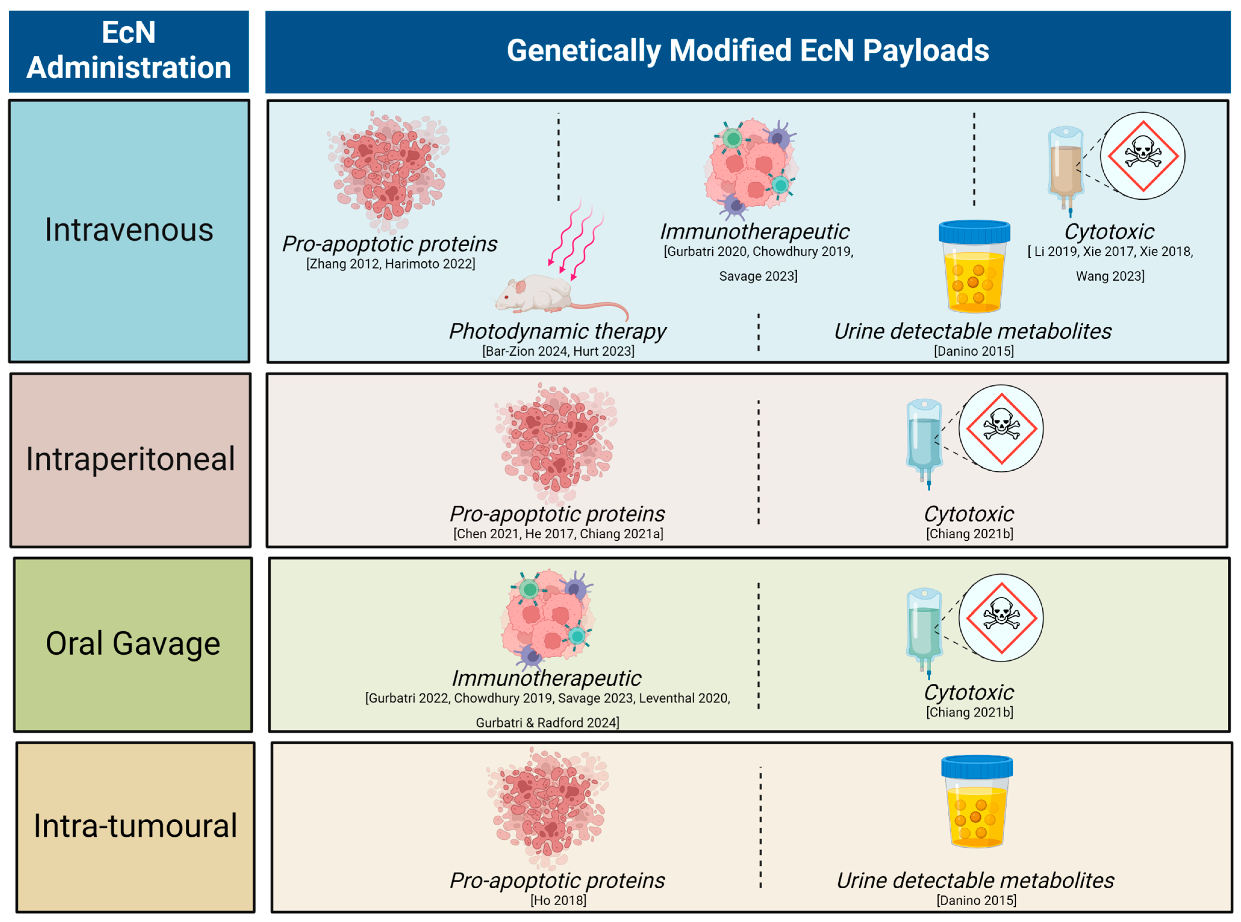 Cancers 16 02971 g001