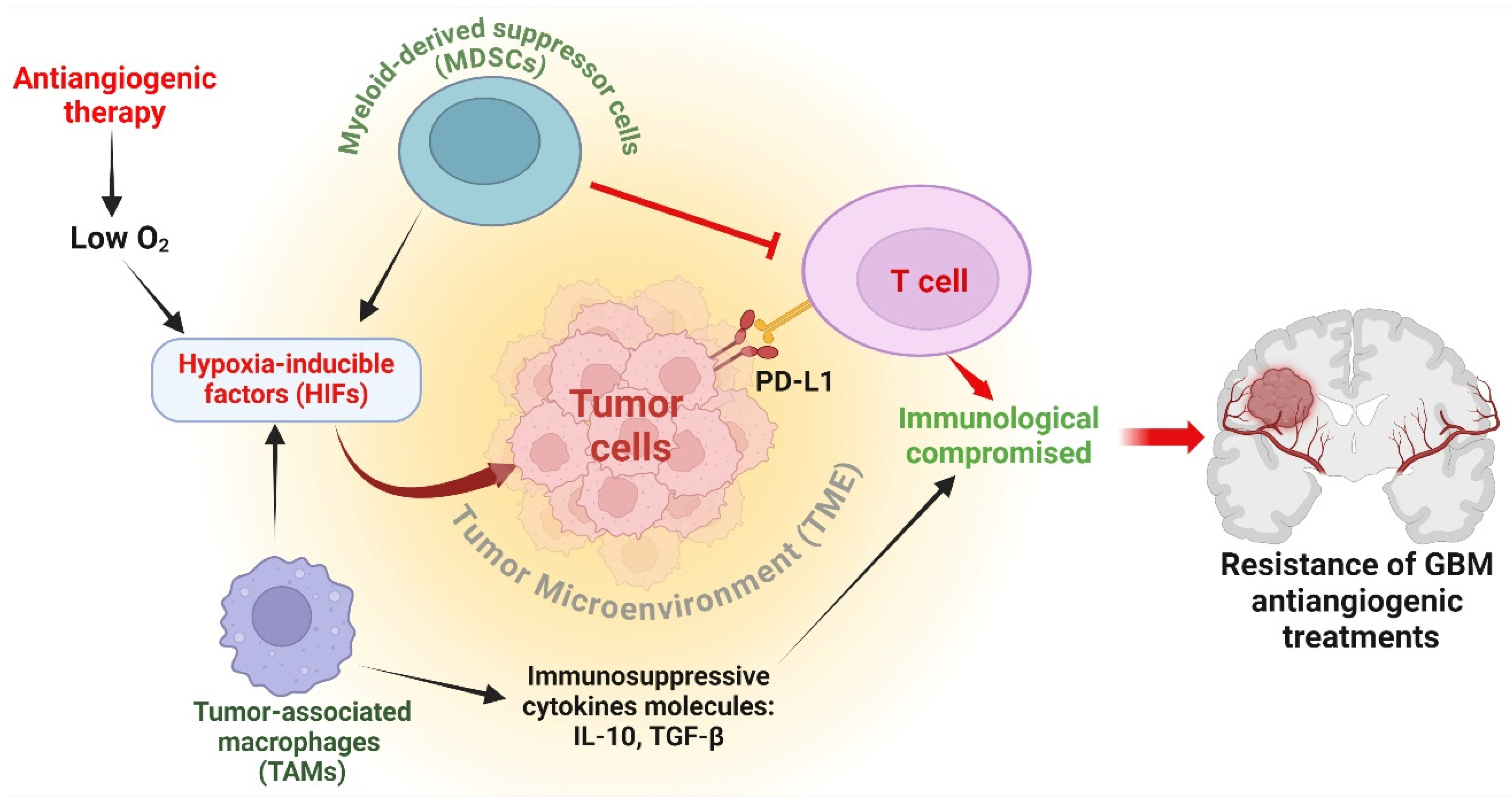Cancers 16 02975 g003