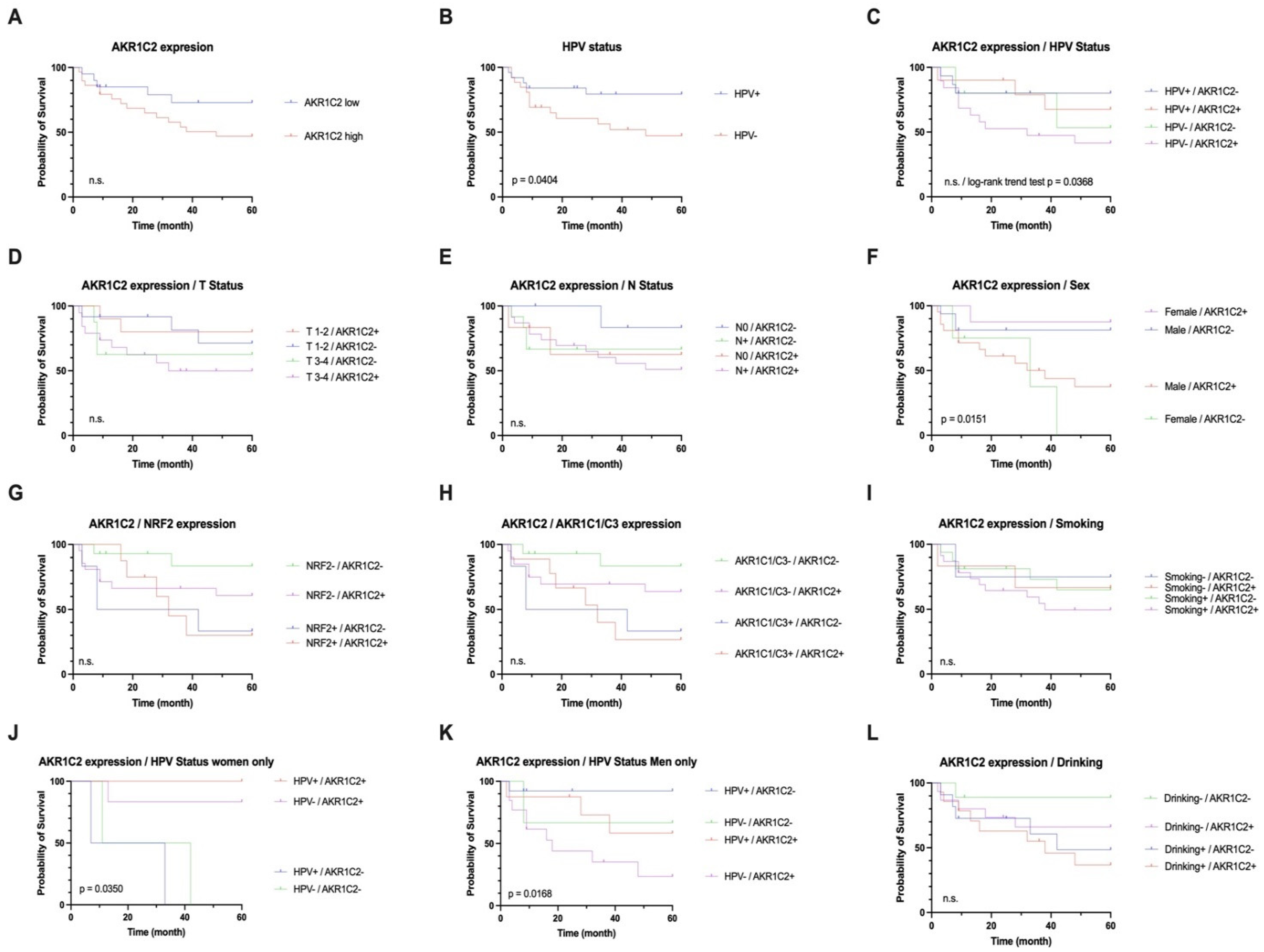 Cancers 16 02976 g002