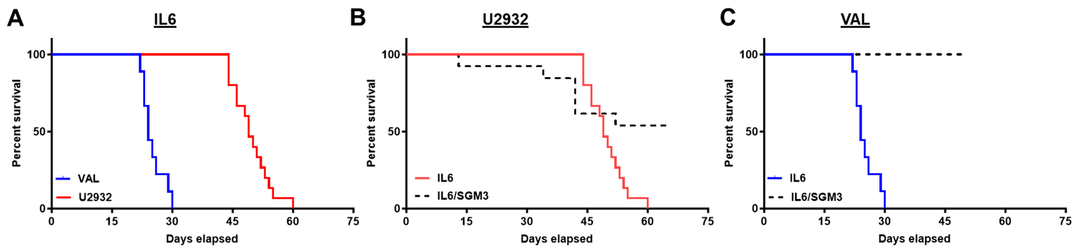 Cancers 16 03006 g002