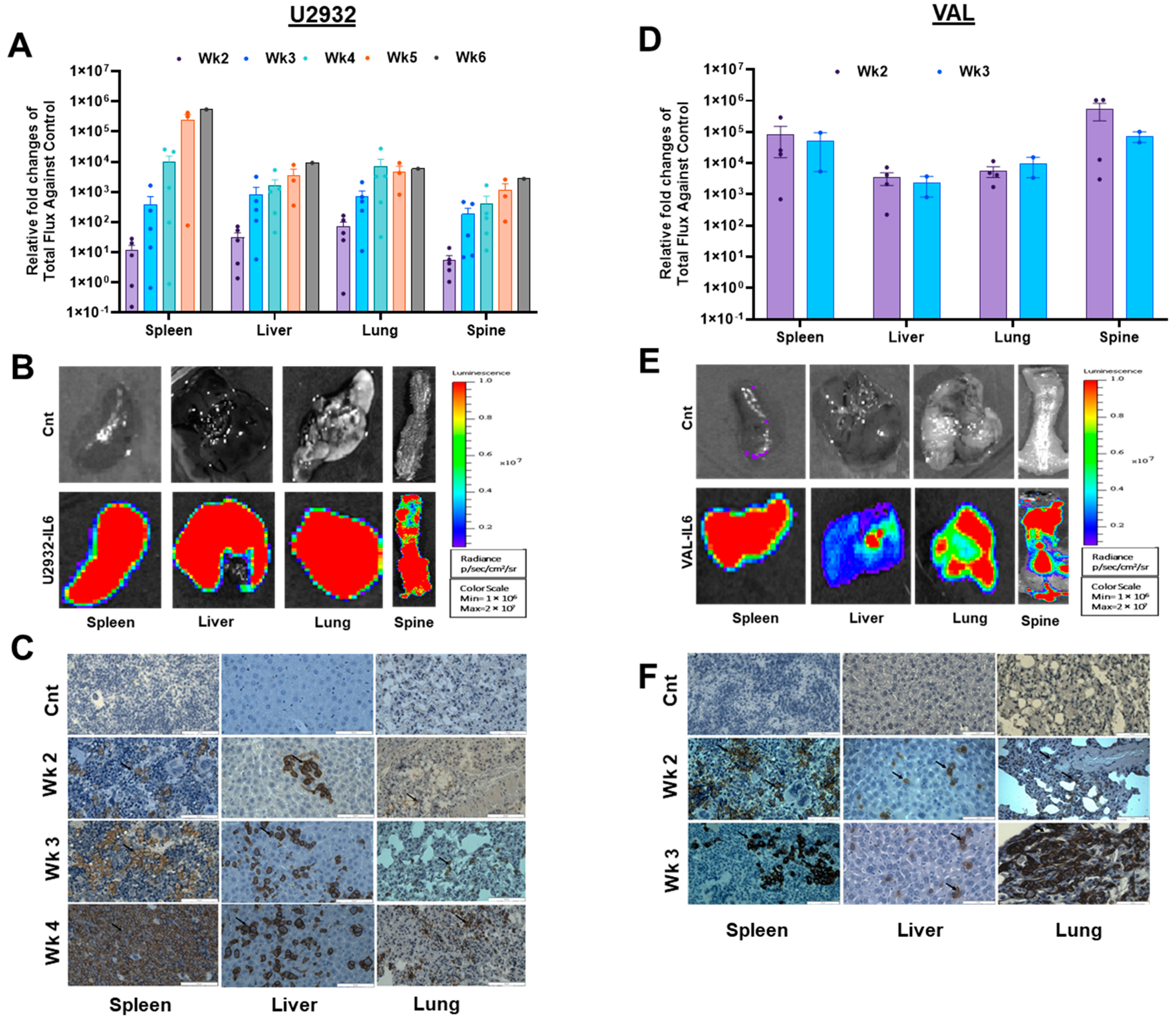 Cancers 16 03006 g003