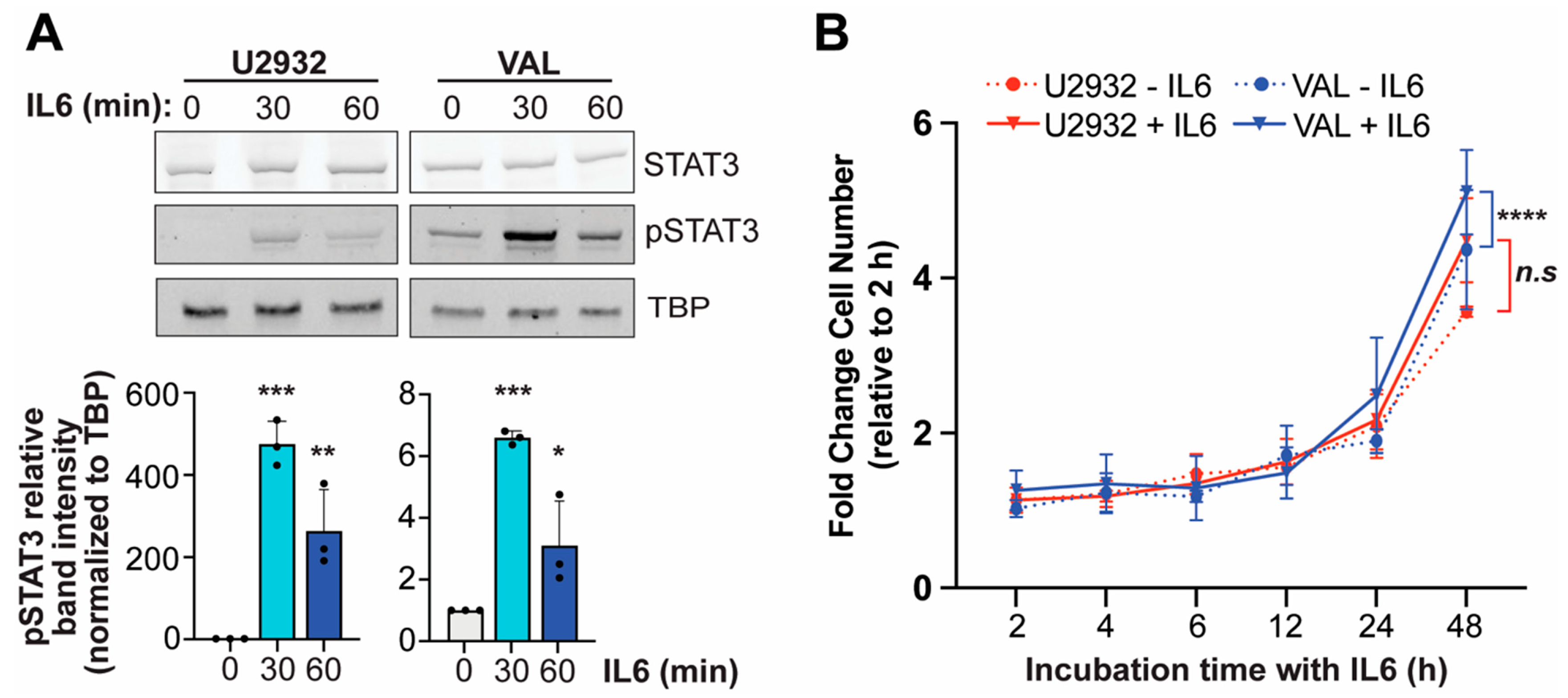 Cancers 16 03006 g004
