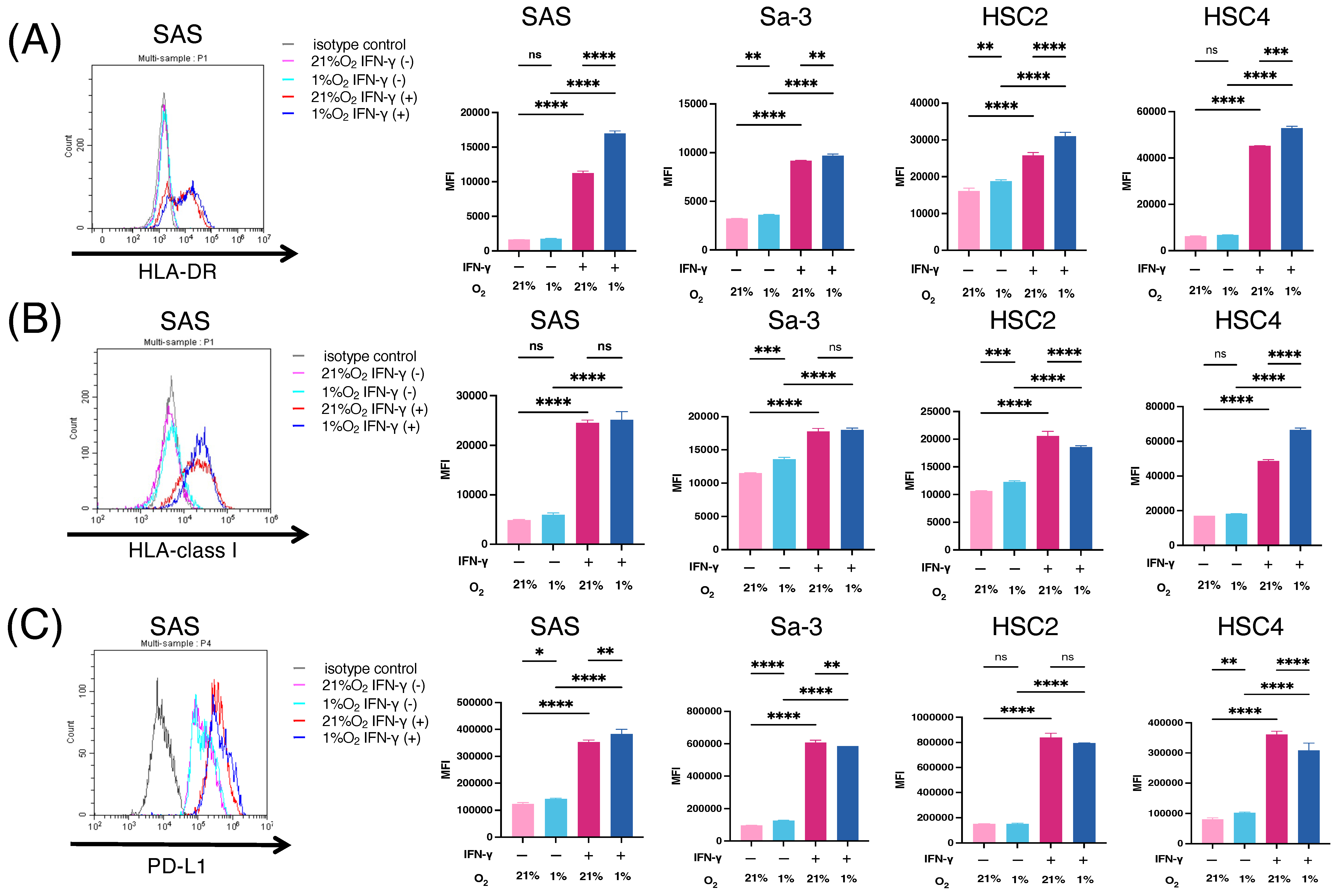 Cancers 16 03013 g001