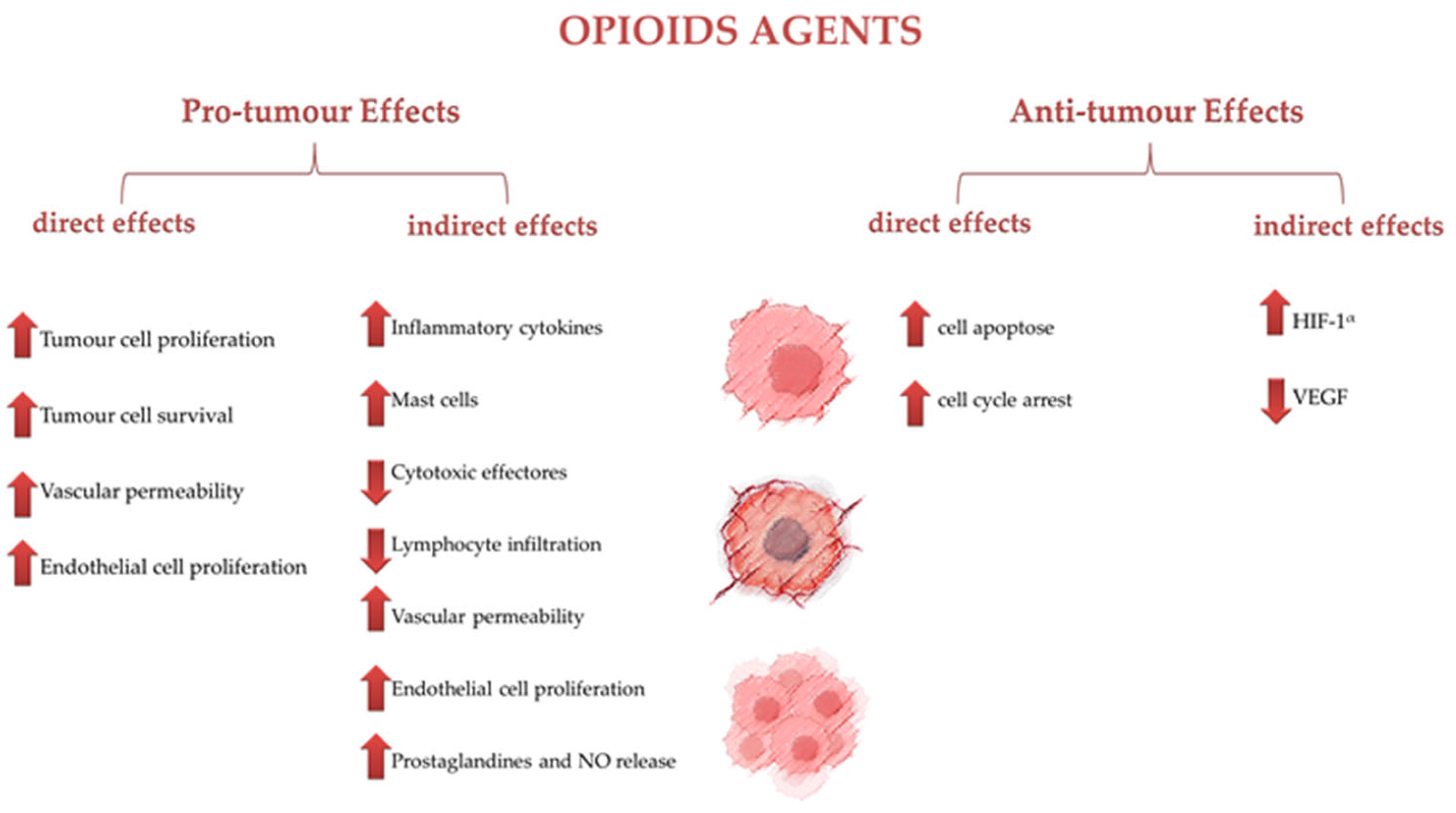 Cancers 16 03015 g001