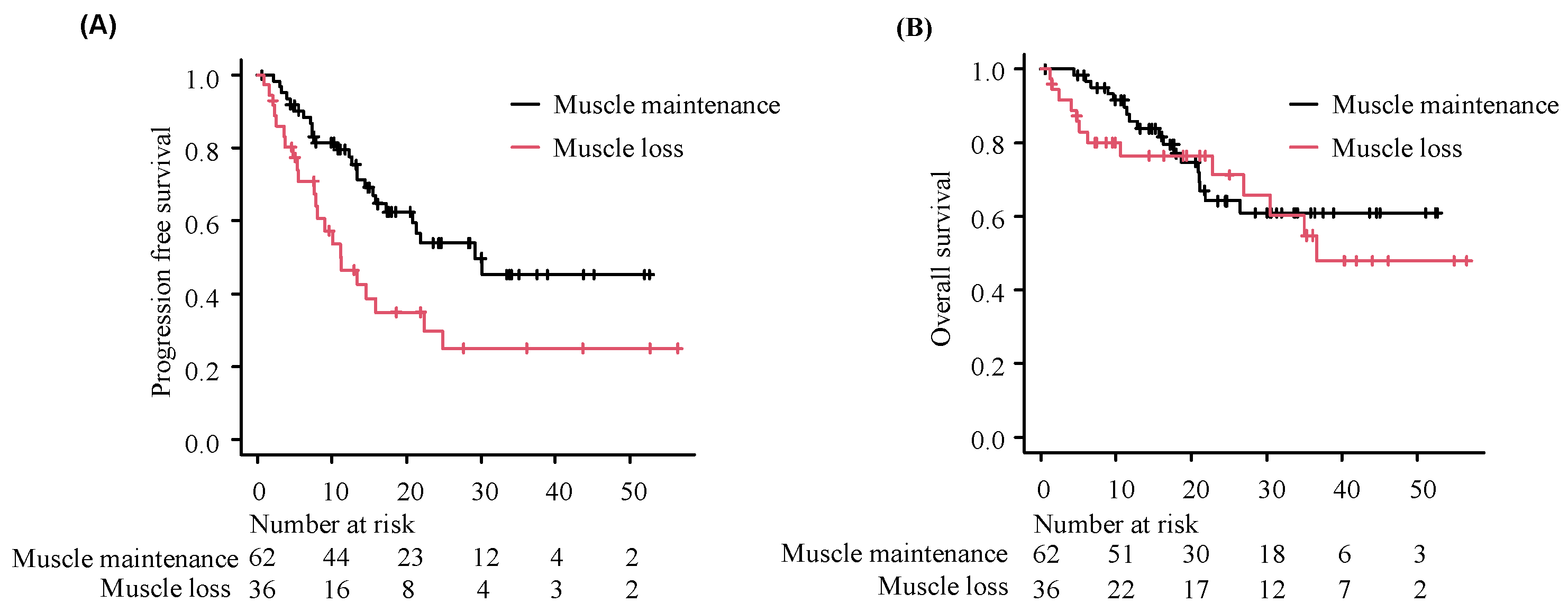 Cancers 16 03037 g002