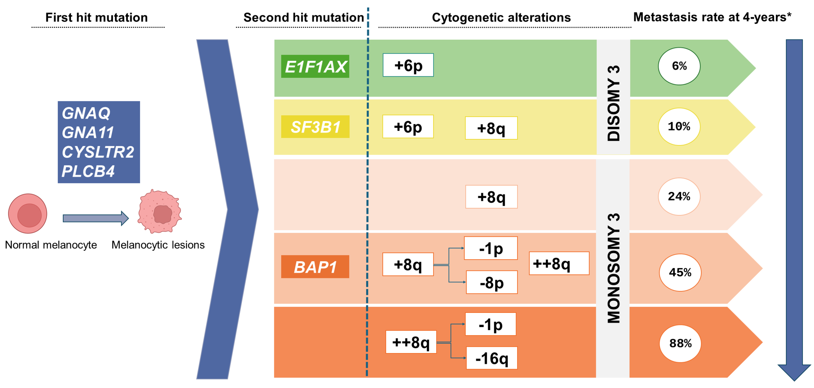 Cancers 16 03053 g001