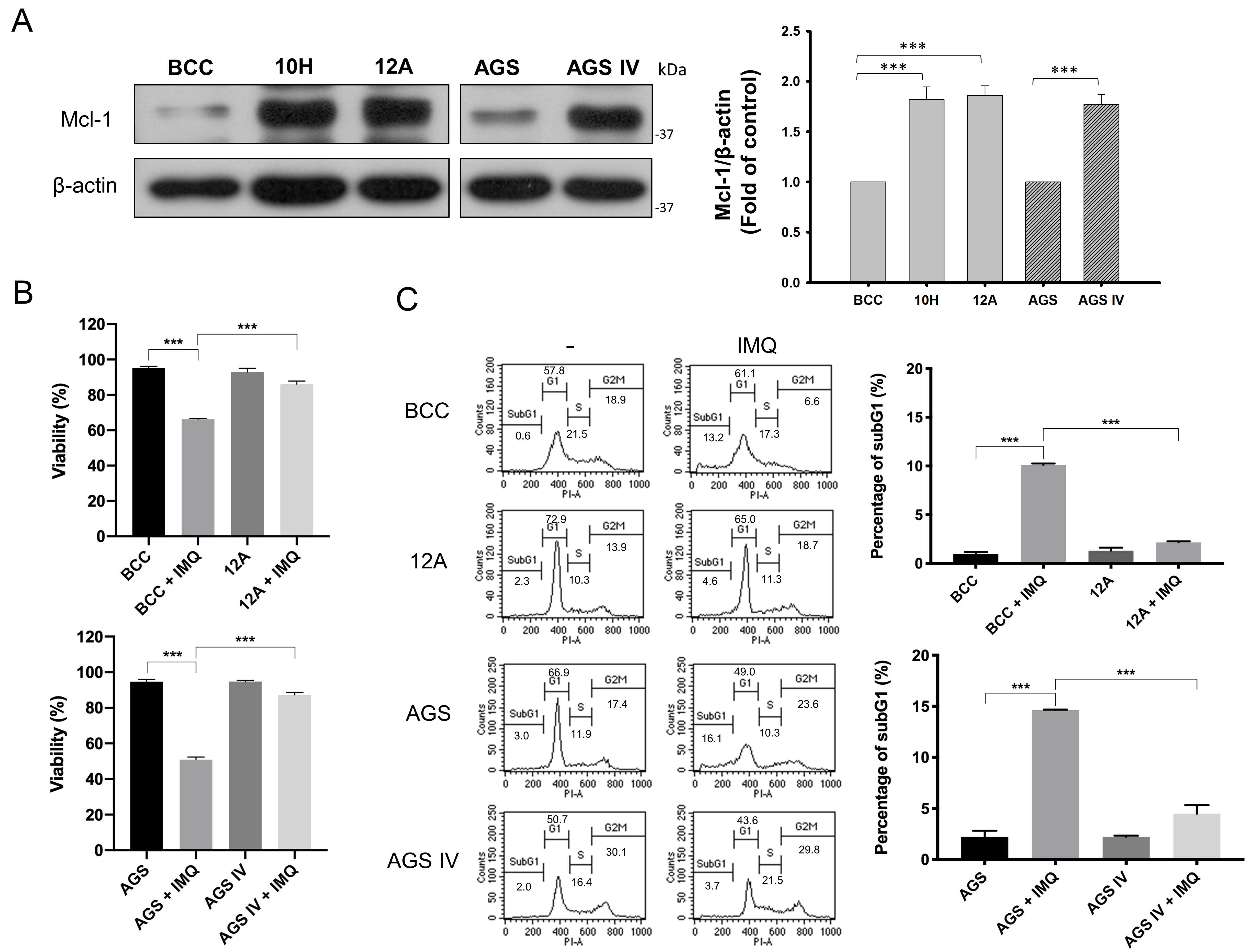 Cancers 16 03060 g001