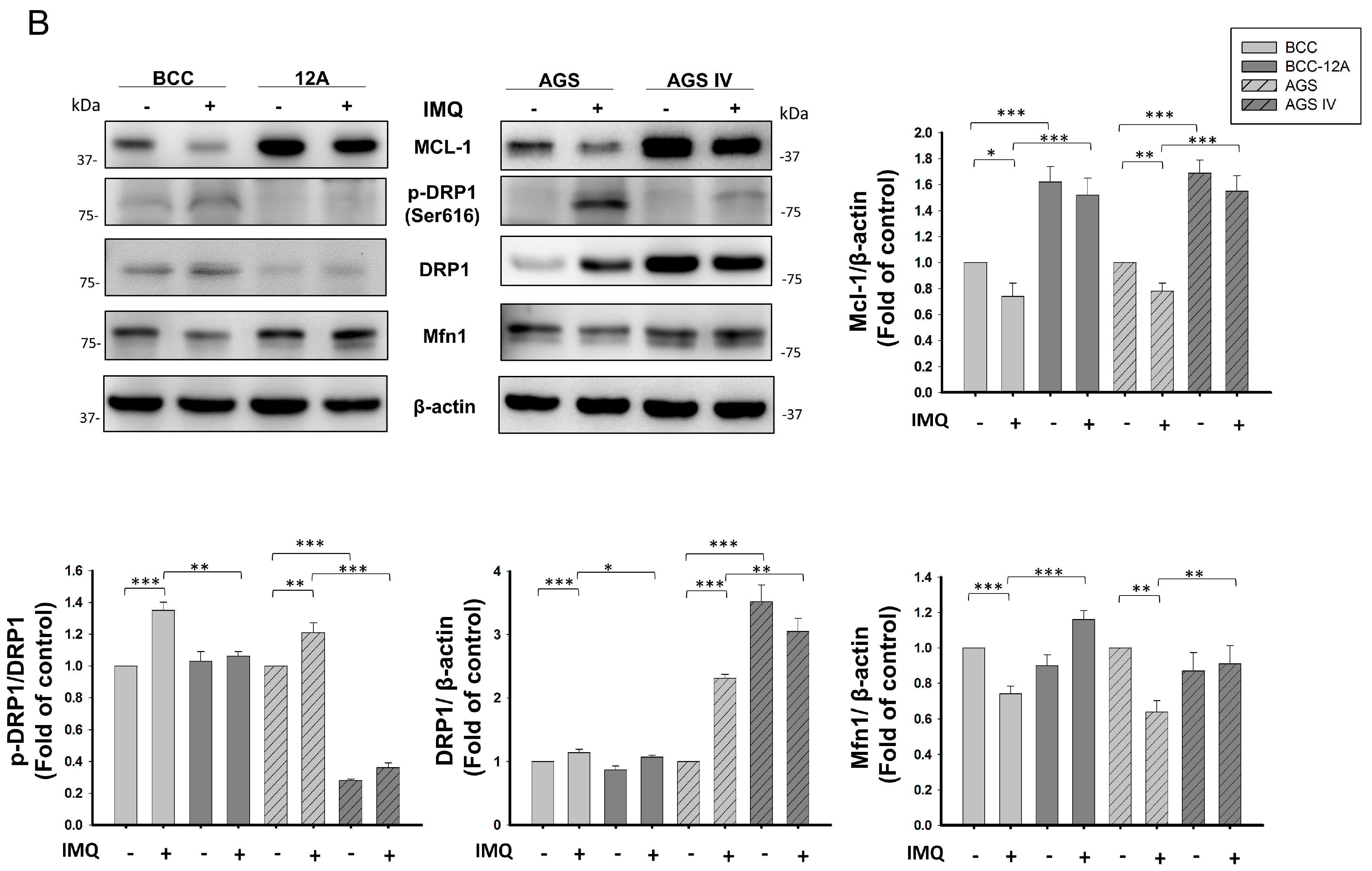 Cancers 16 03060 g004b