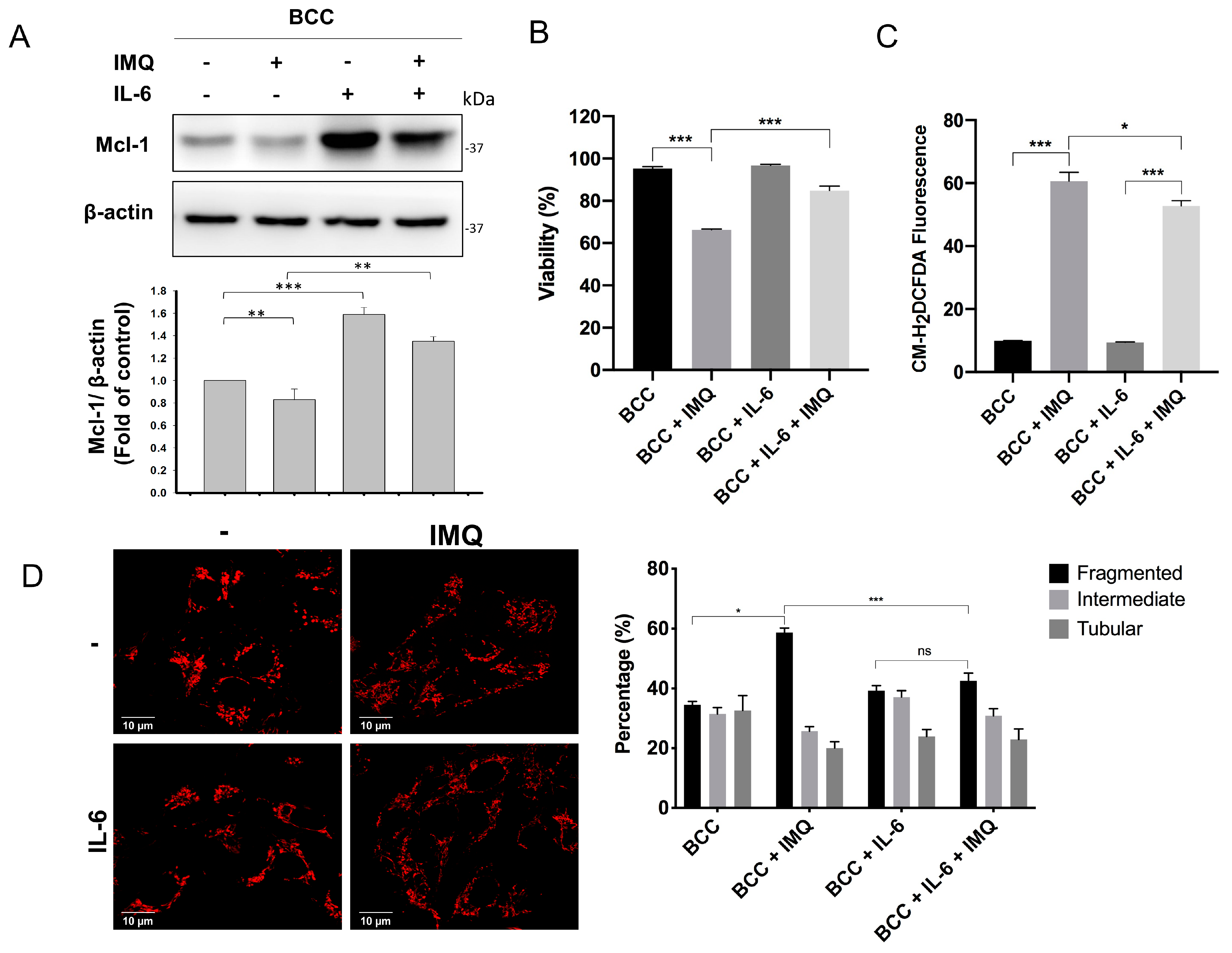 Cancers 16 03060 g006