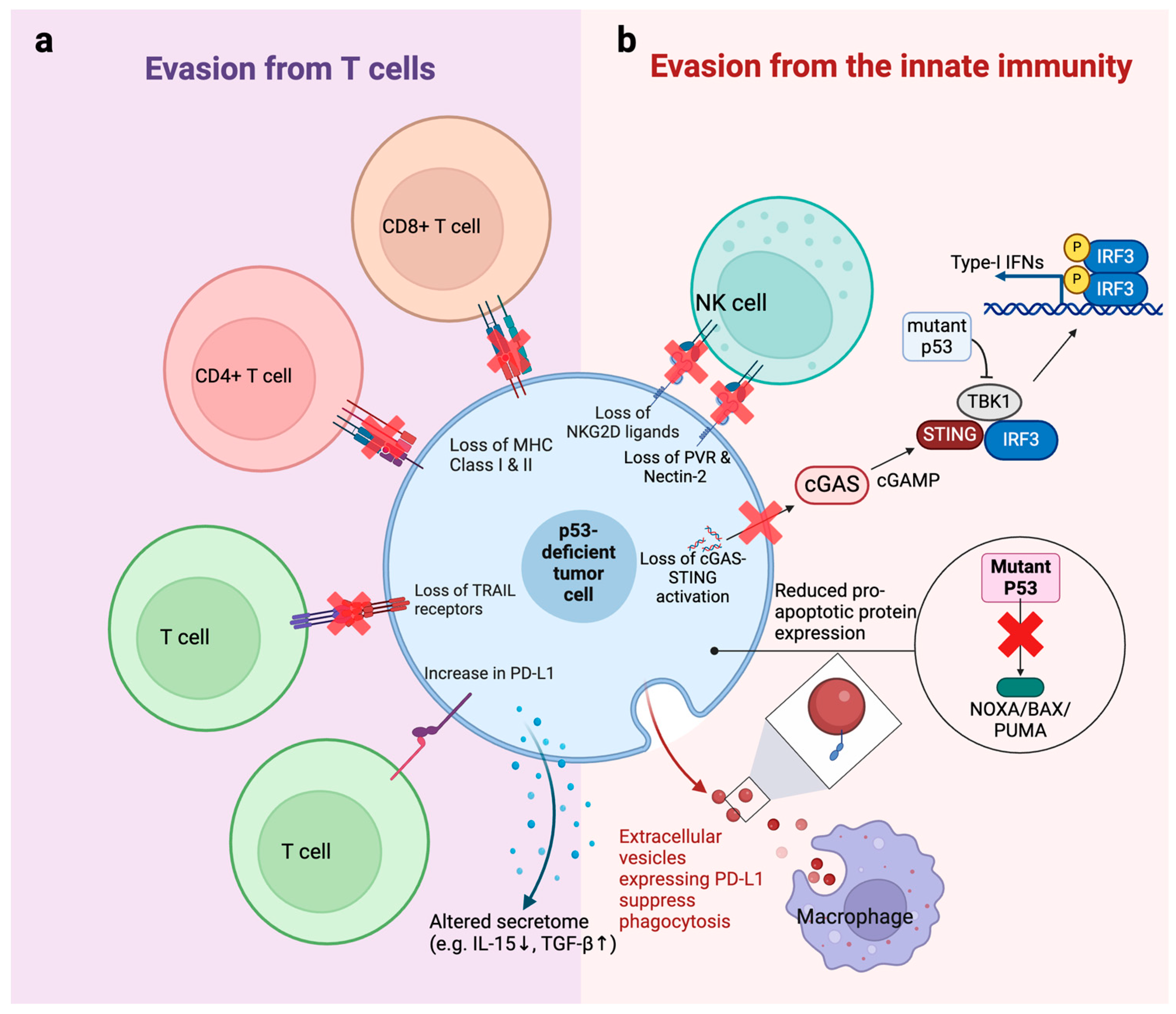 Cancers 16 03069 g002