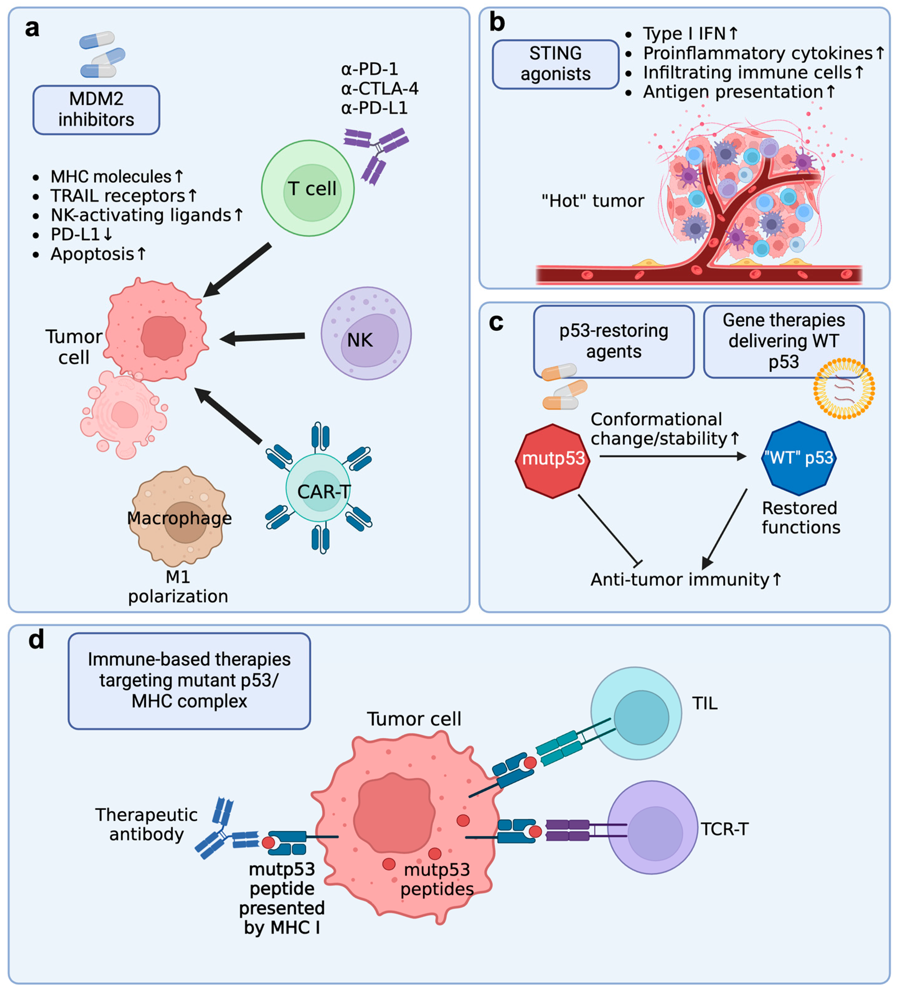 Cancers 16 03069 g004