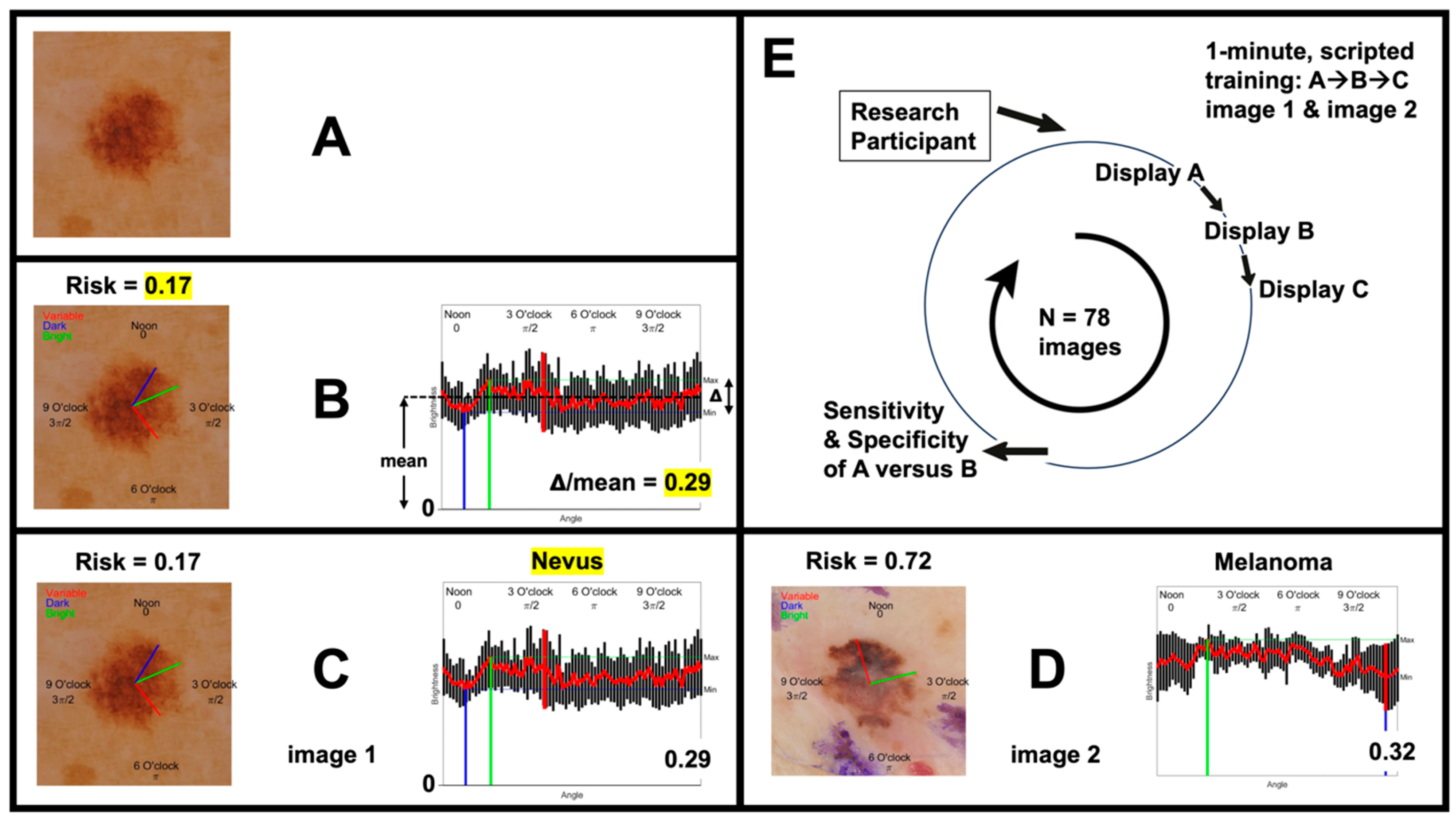 Cancers 16 03077 g002