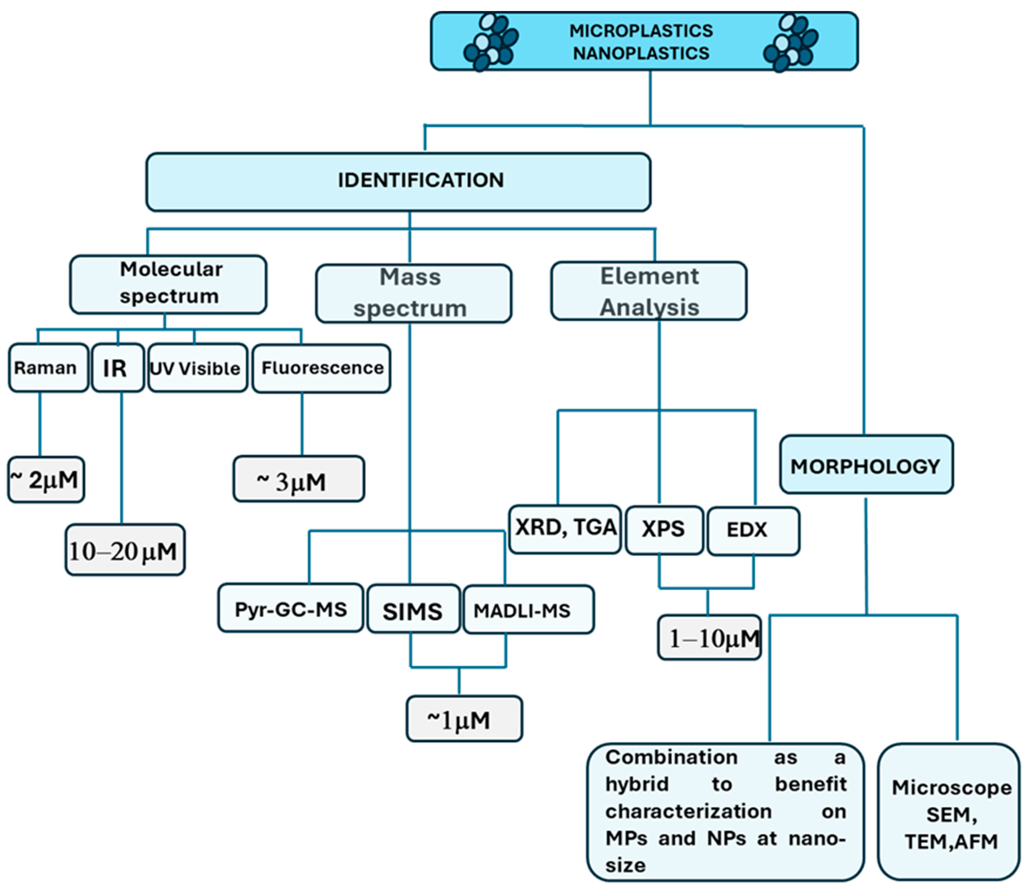 Cancers 16 03079 g001