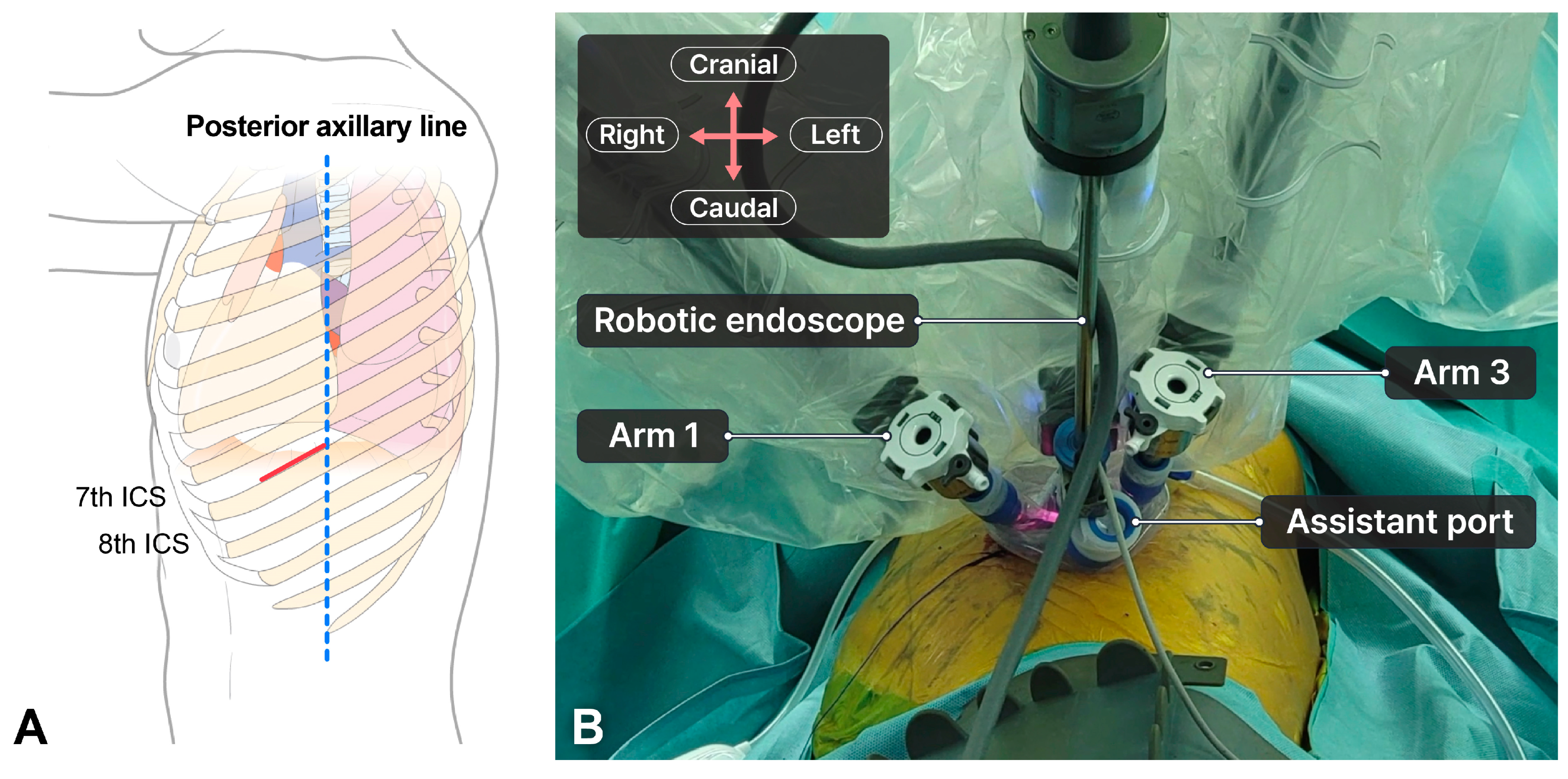 Cancers 16 03091 g001 Cancers 16 03091 g001