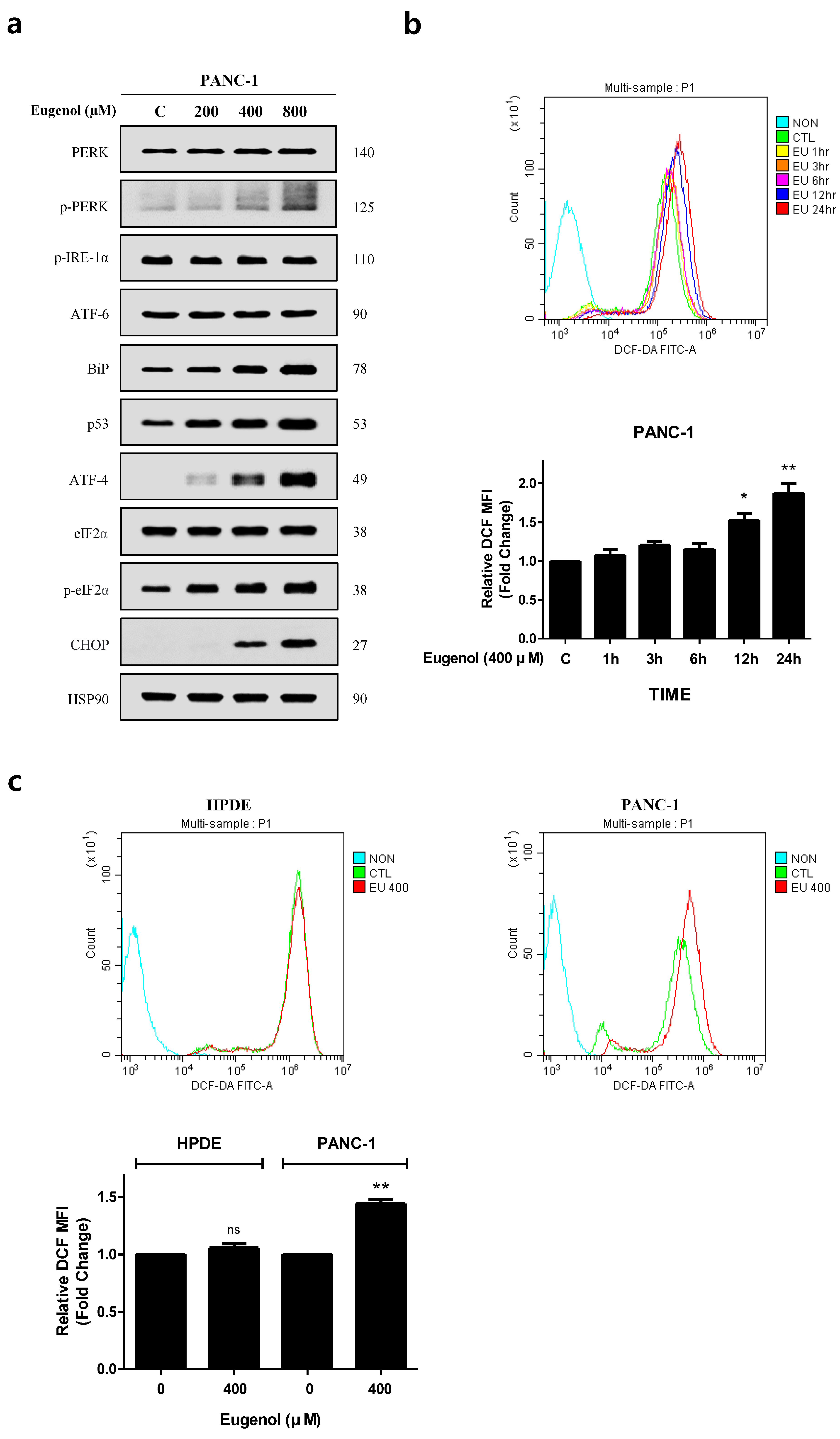 Cancers 16 03092 g005 Cancers 16 03092 g005